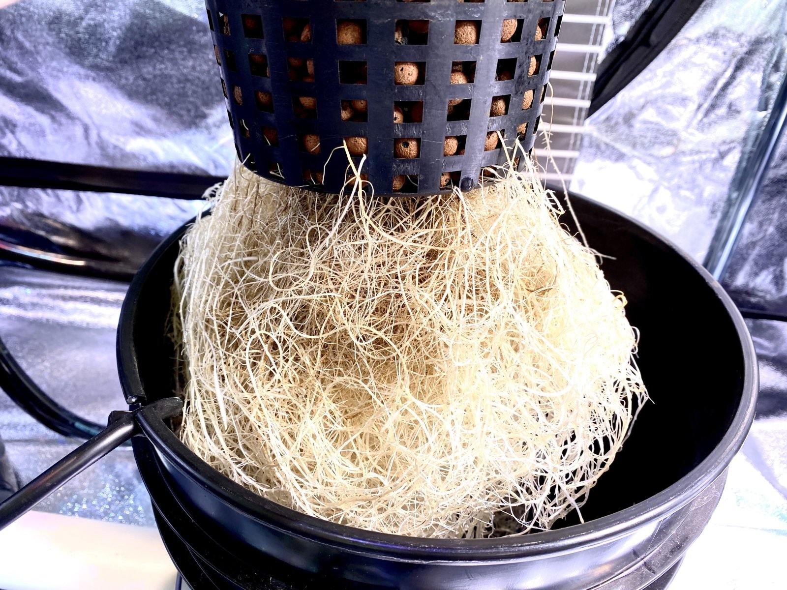 Brewing Microbe Teas for a Hydroponics - Gardin Warehouse