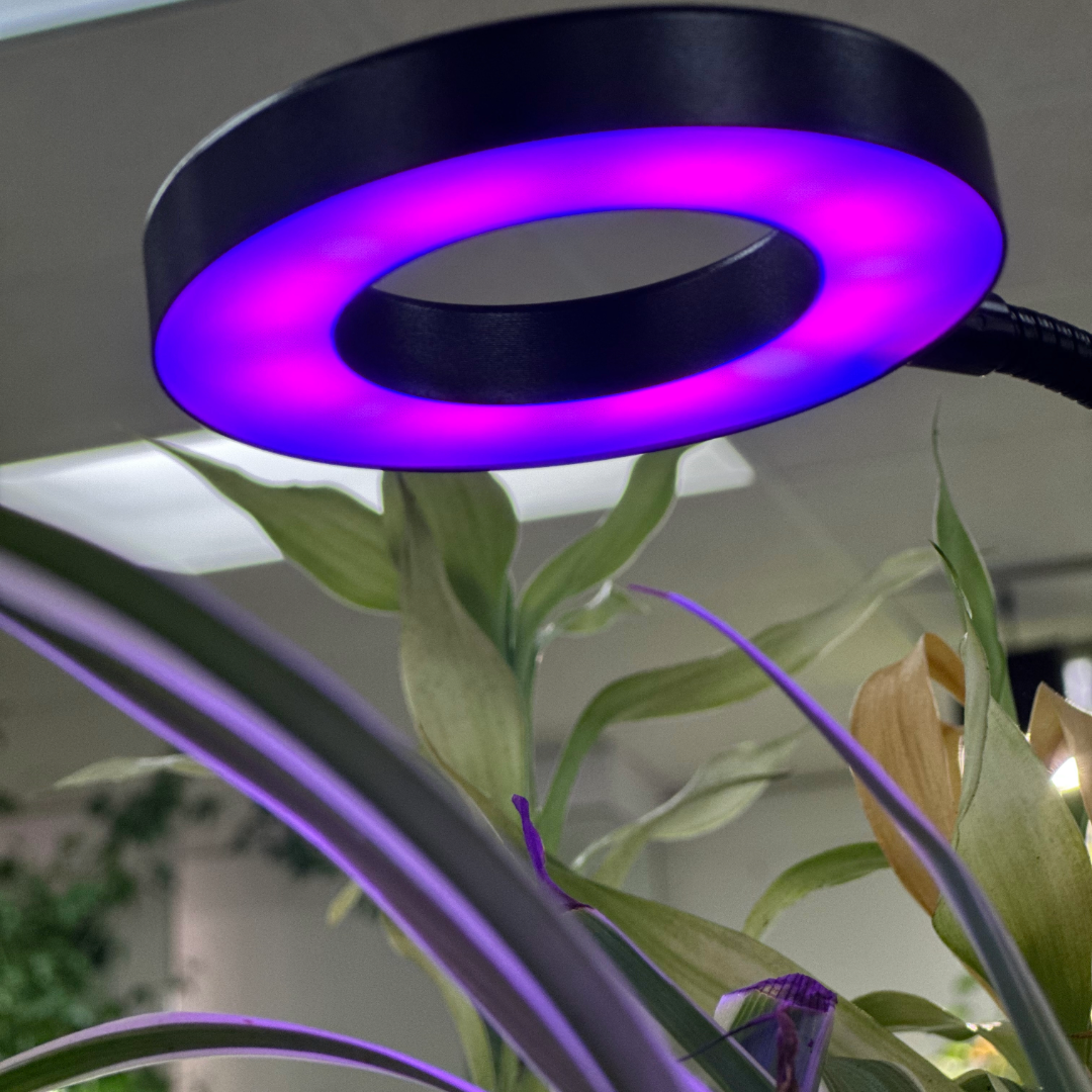 Flexible LED Plant Light with Clip for Houseplants - 3 Spectrums, 10 Intensity Stages