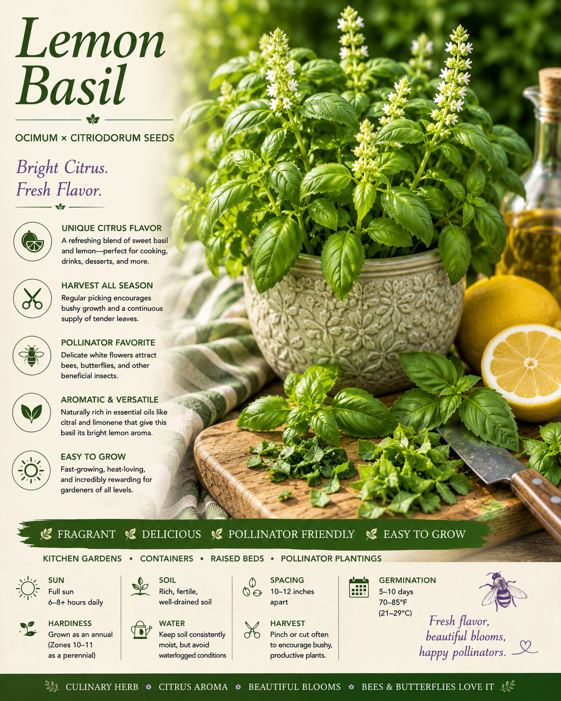 Lemon Basil