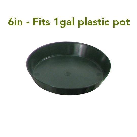 Containers - Premium Saucers - 638104010474- Gardin Warehouse