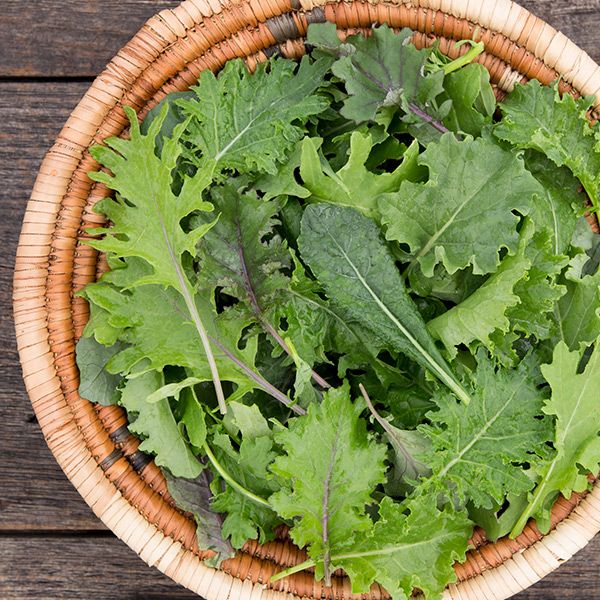 Ironman Kale Mix