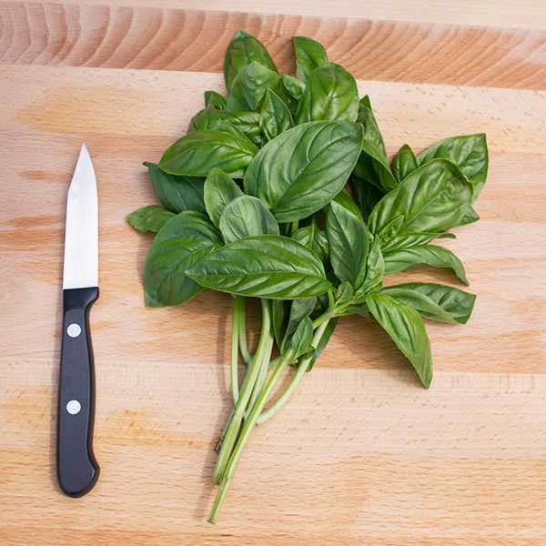 Genovese Basil