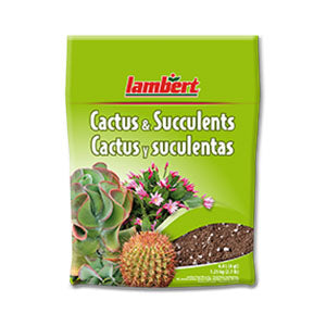 Lambert Cactus & Succulent Mix, 4qt