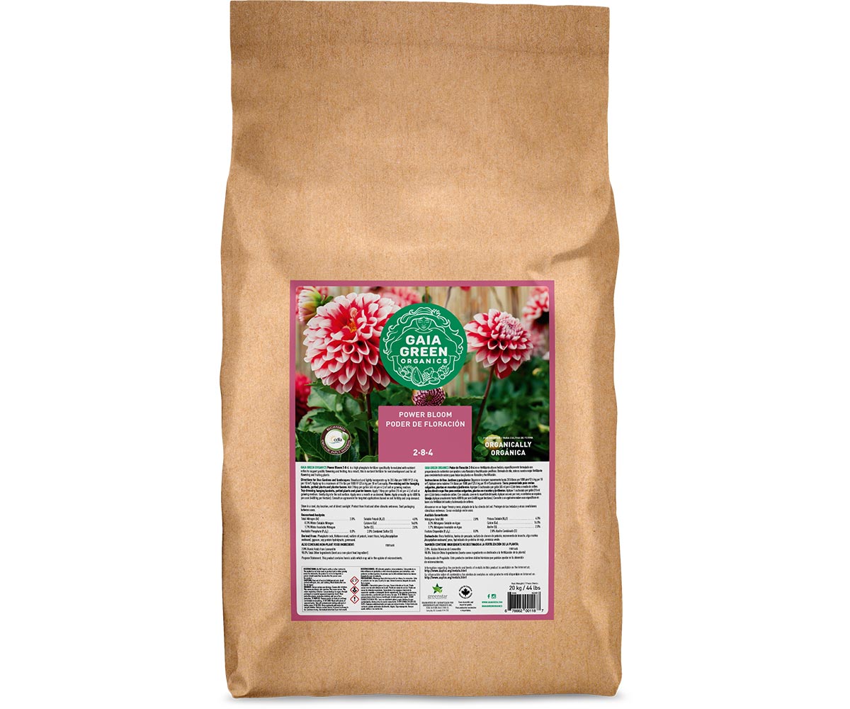 Gaia Green Power Bloom