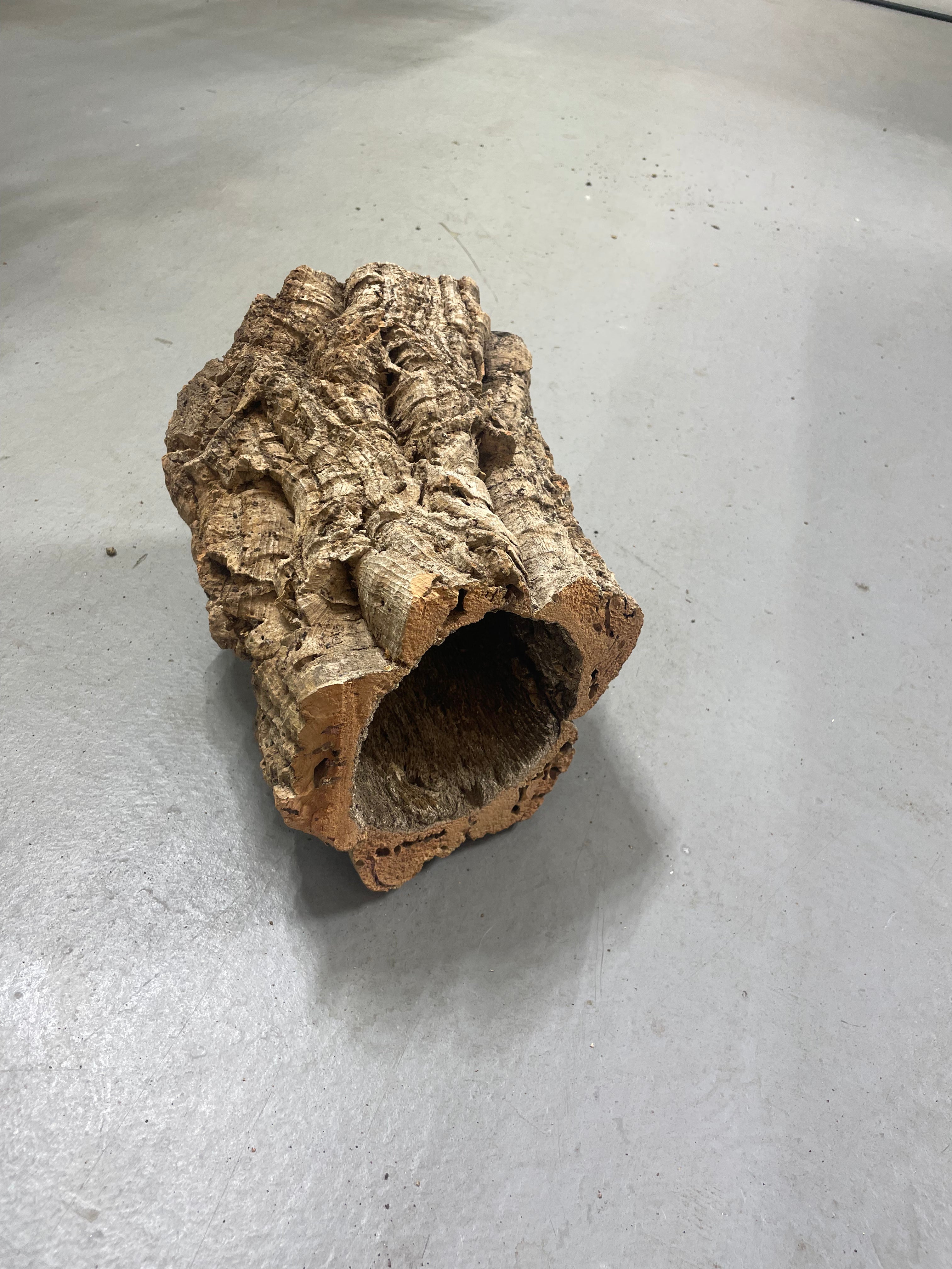 Premium Cork Bark