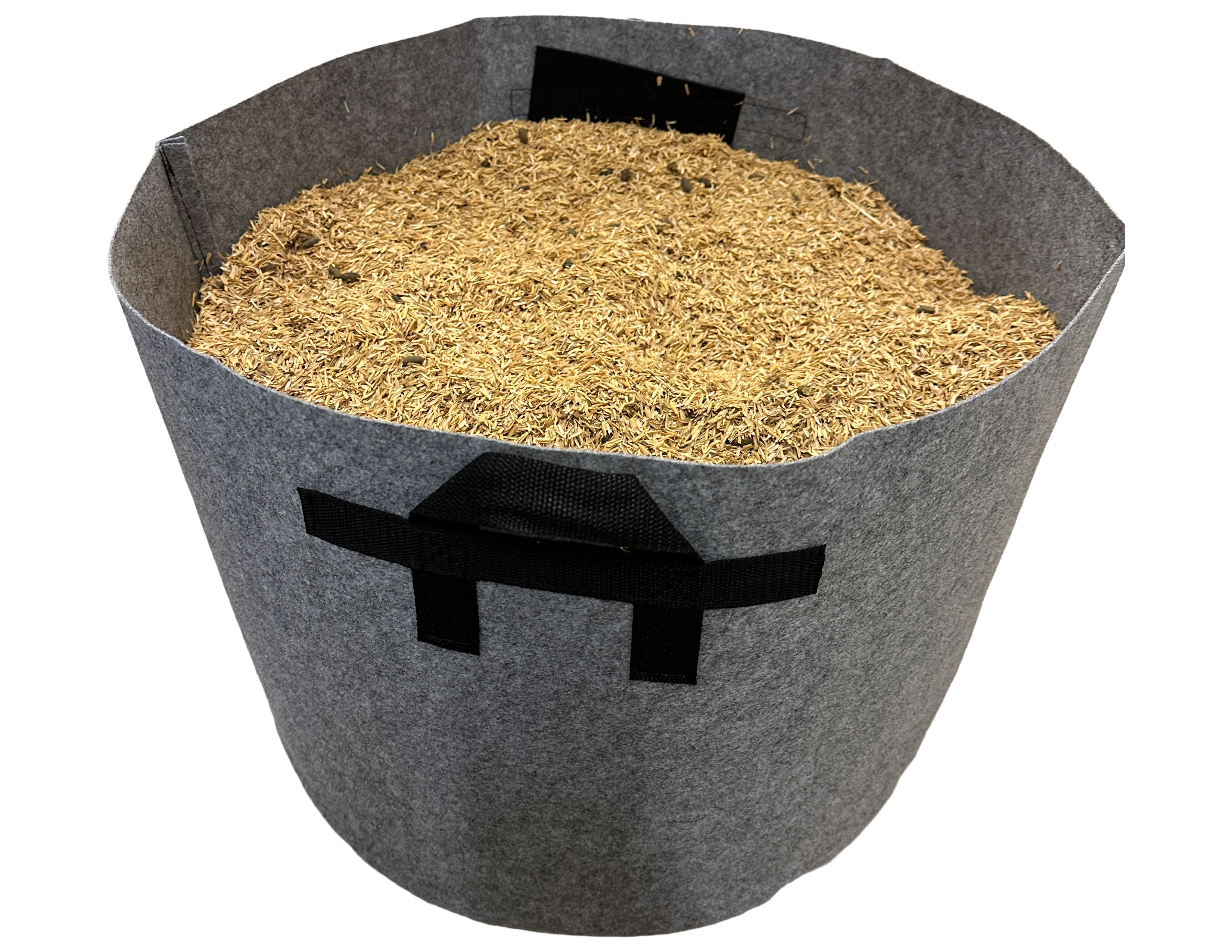 Guinea Pig Enriched Rice Hulls