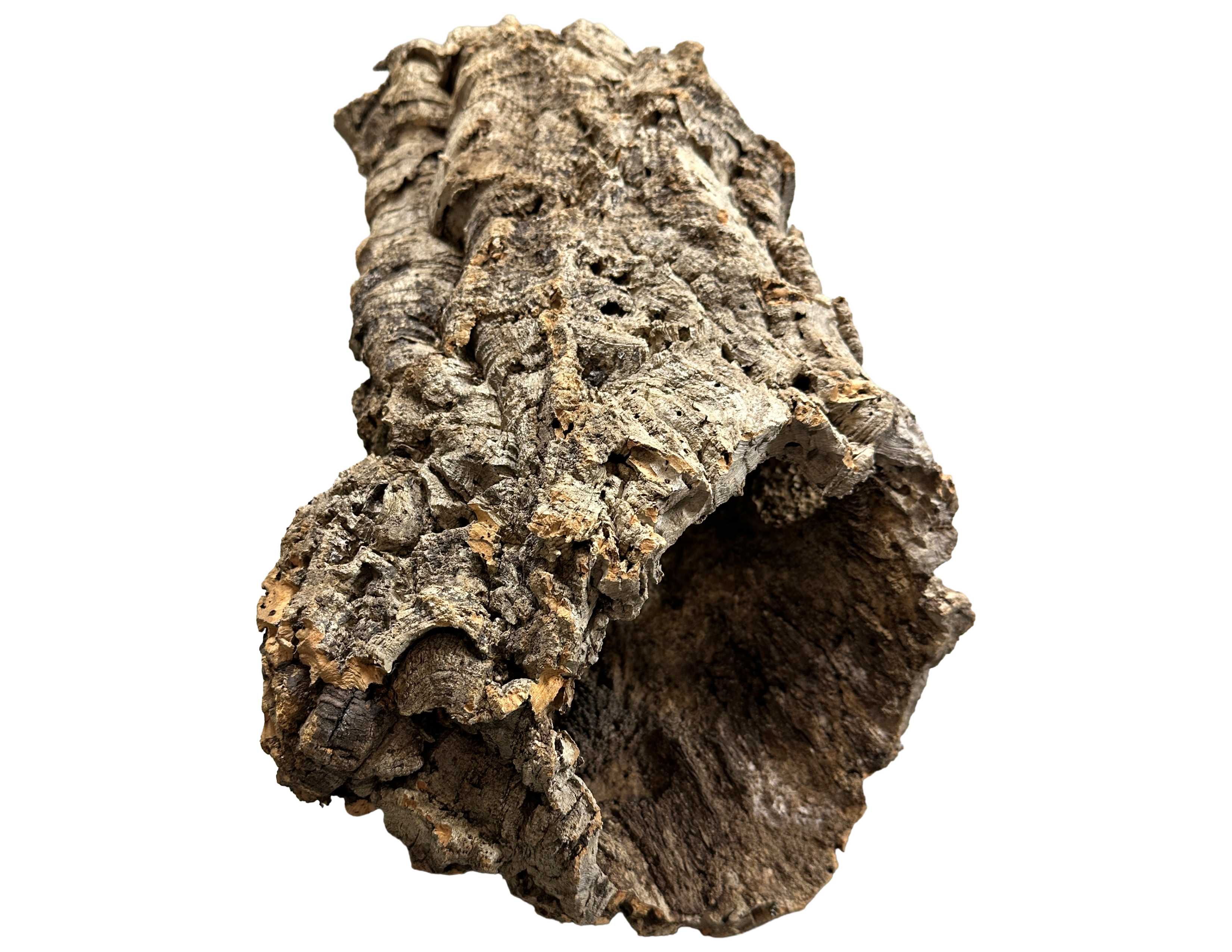Premium Cork Bark