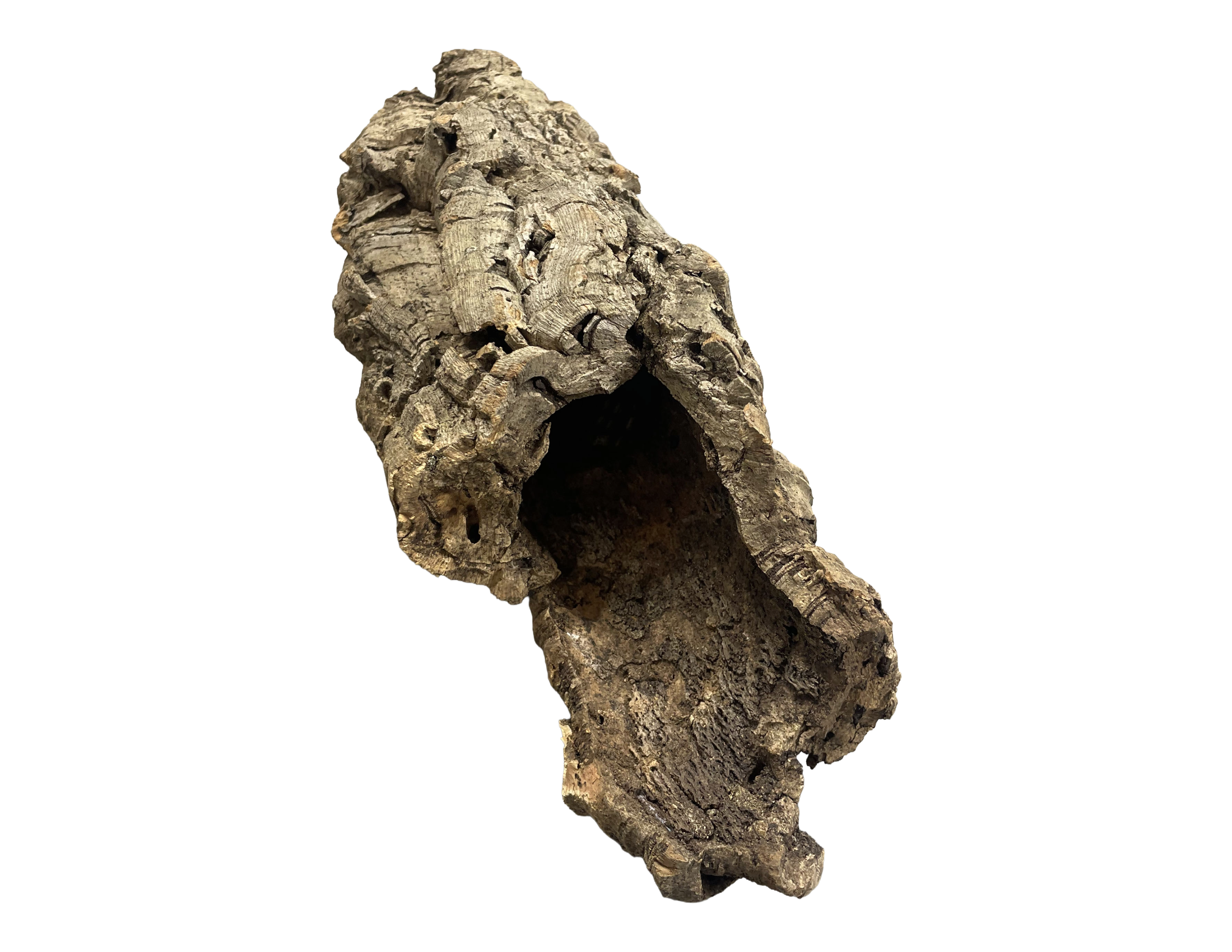 Premium Cork Bark