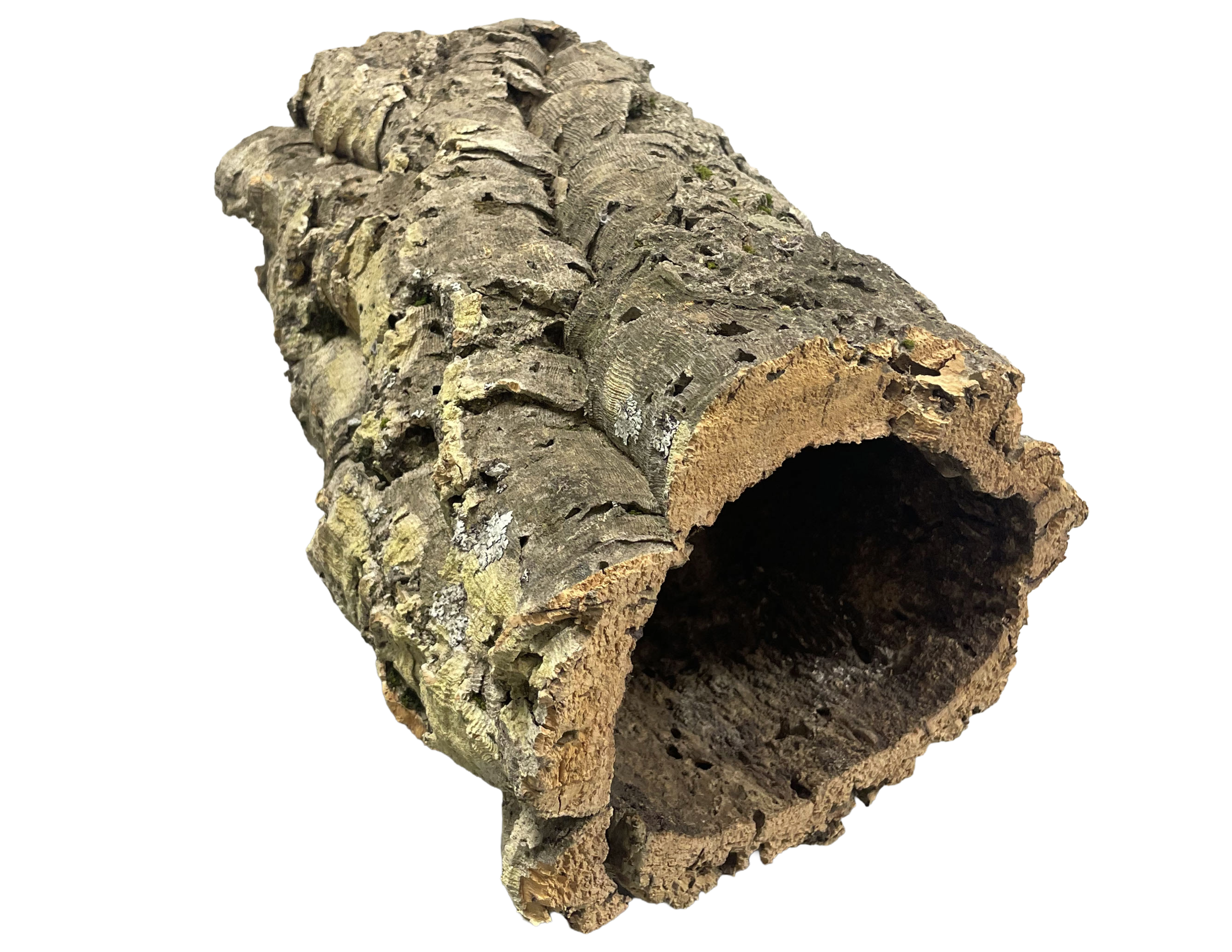 Premium Cork Bark
