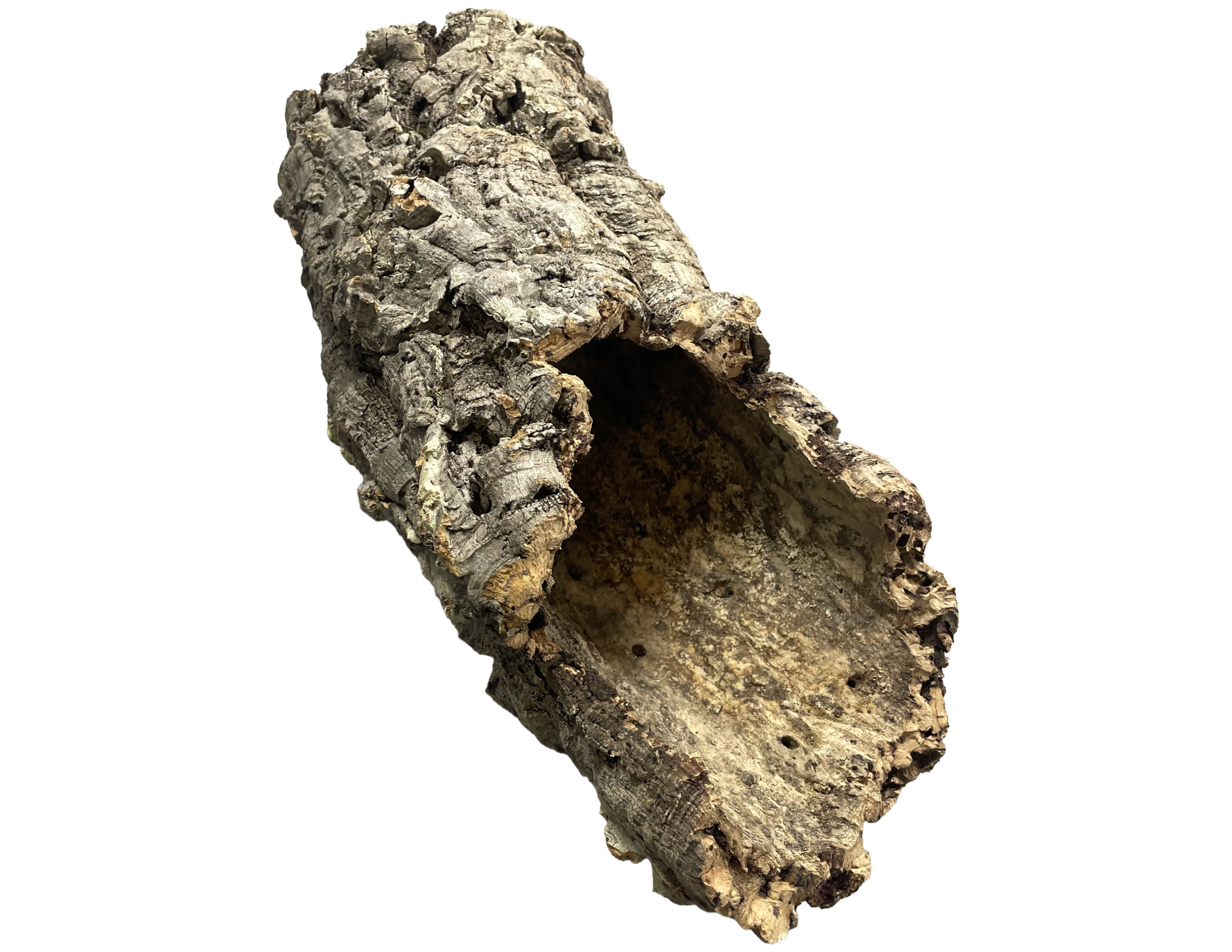 Premium Cork Bark