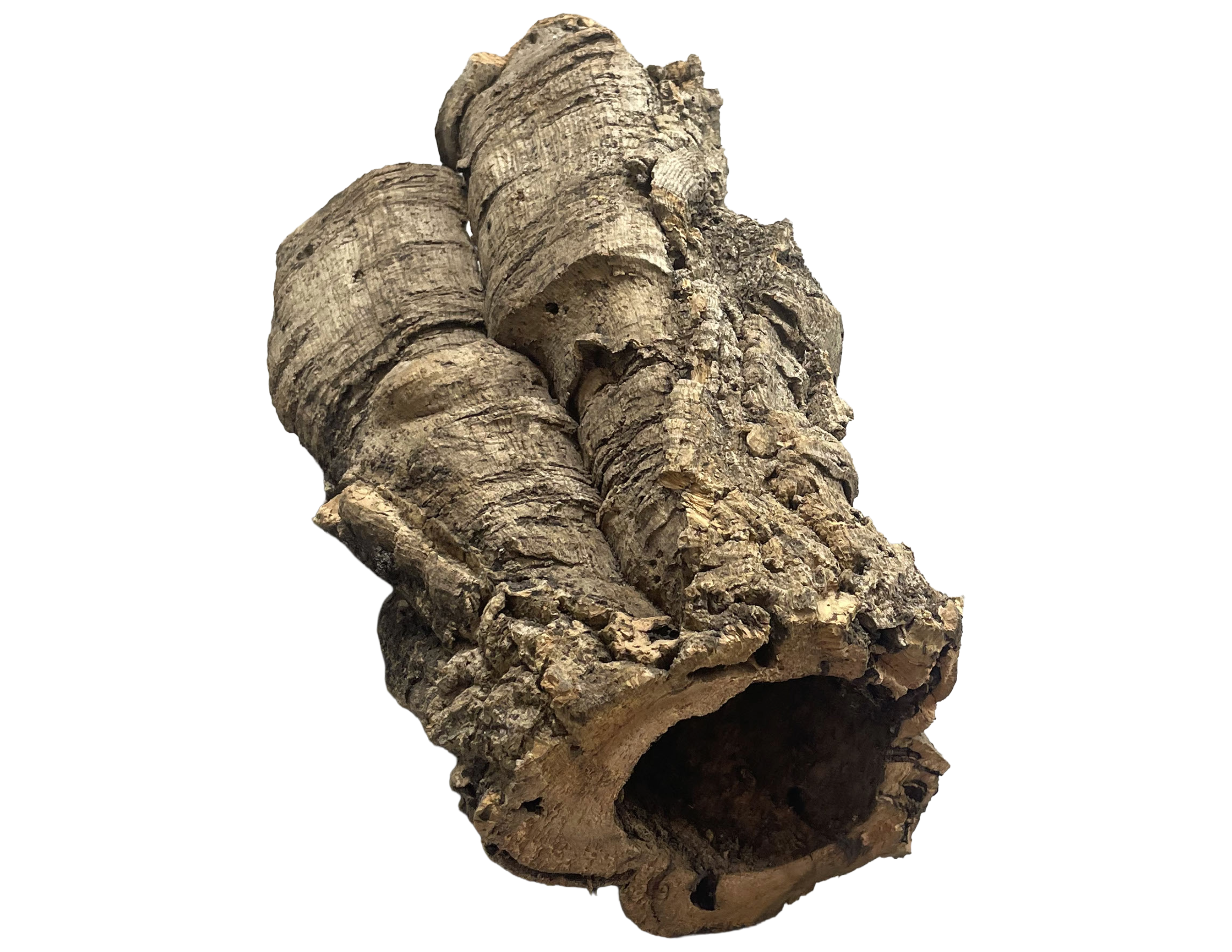Premium Cork Bark