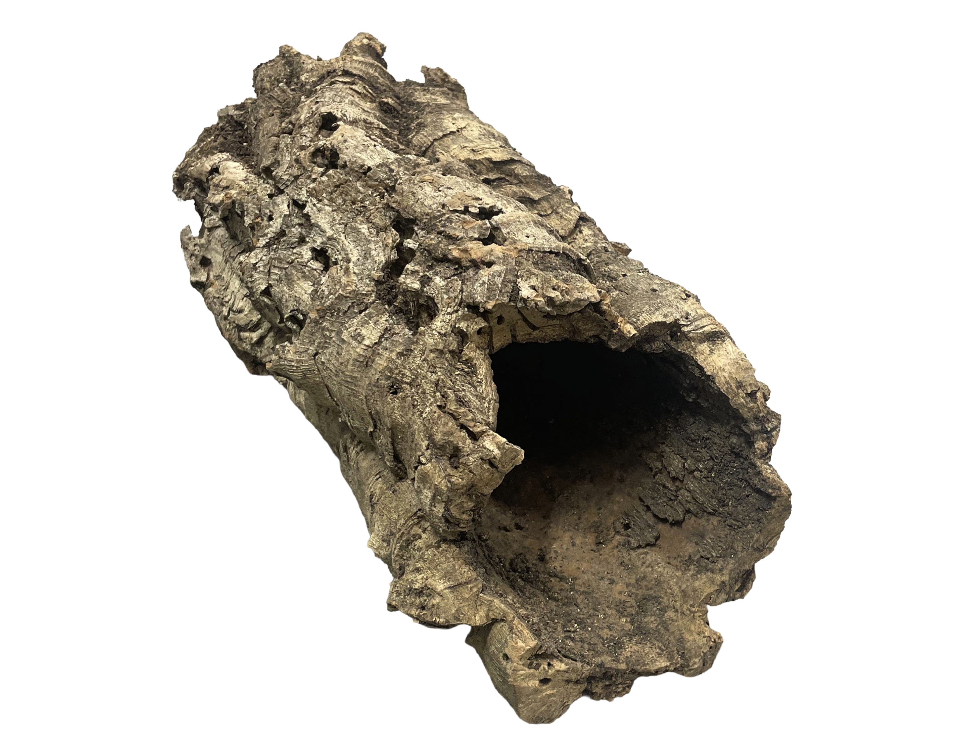 Premium Cork Bark
