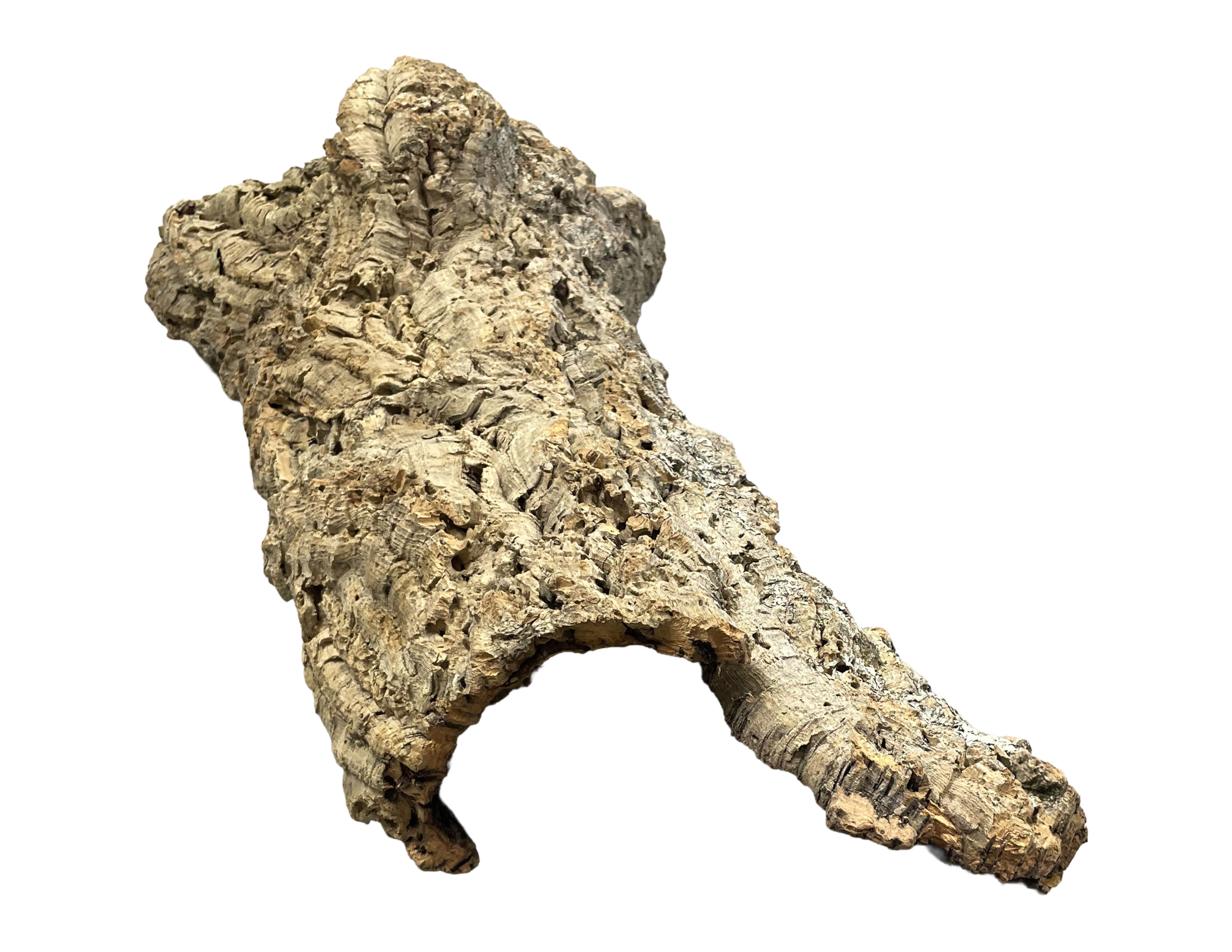 Premium Cork Bark