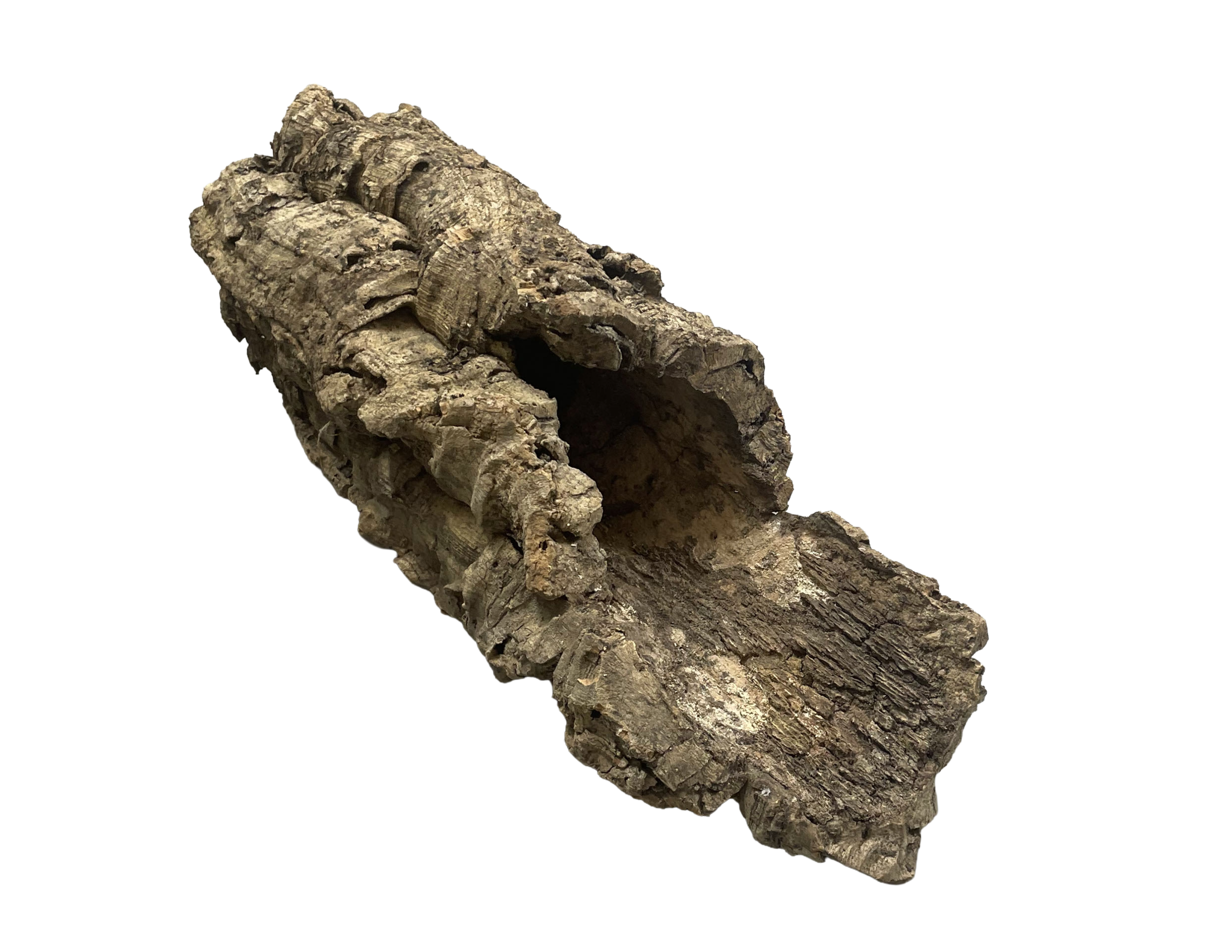 Premium Cork Bark