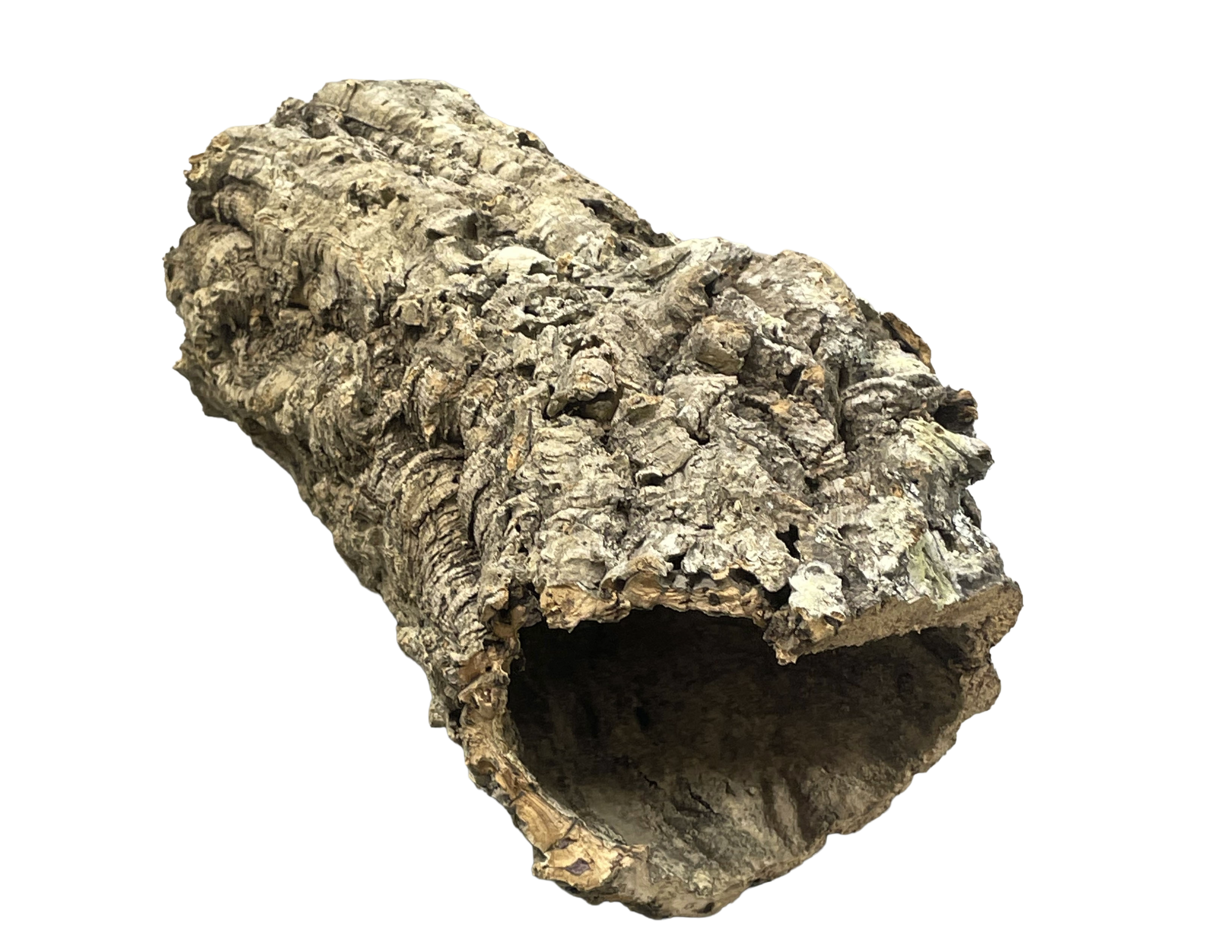 Premium Cork Bark