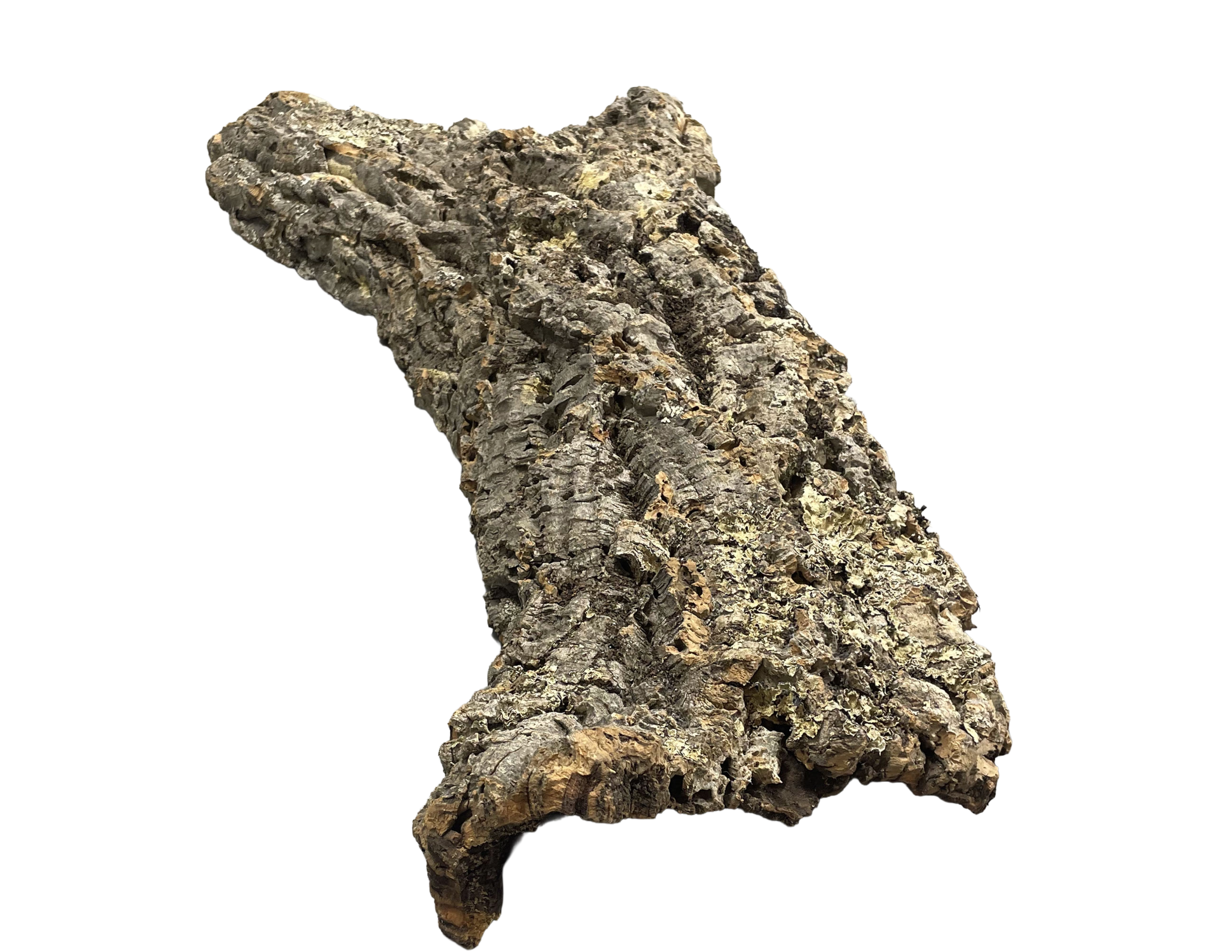 Premium Cork Bark