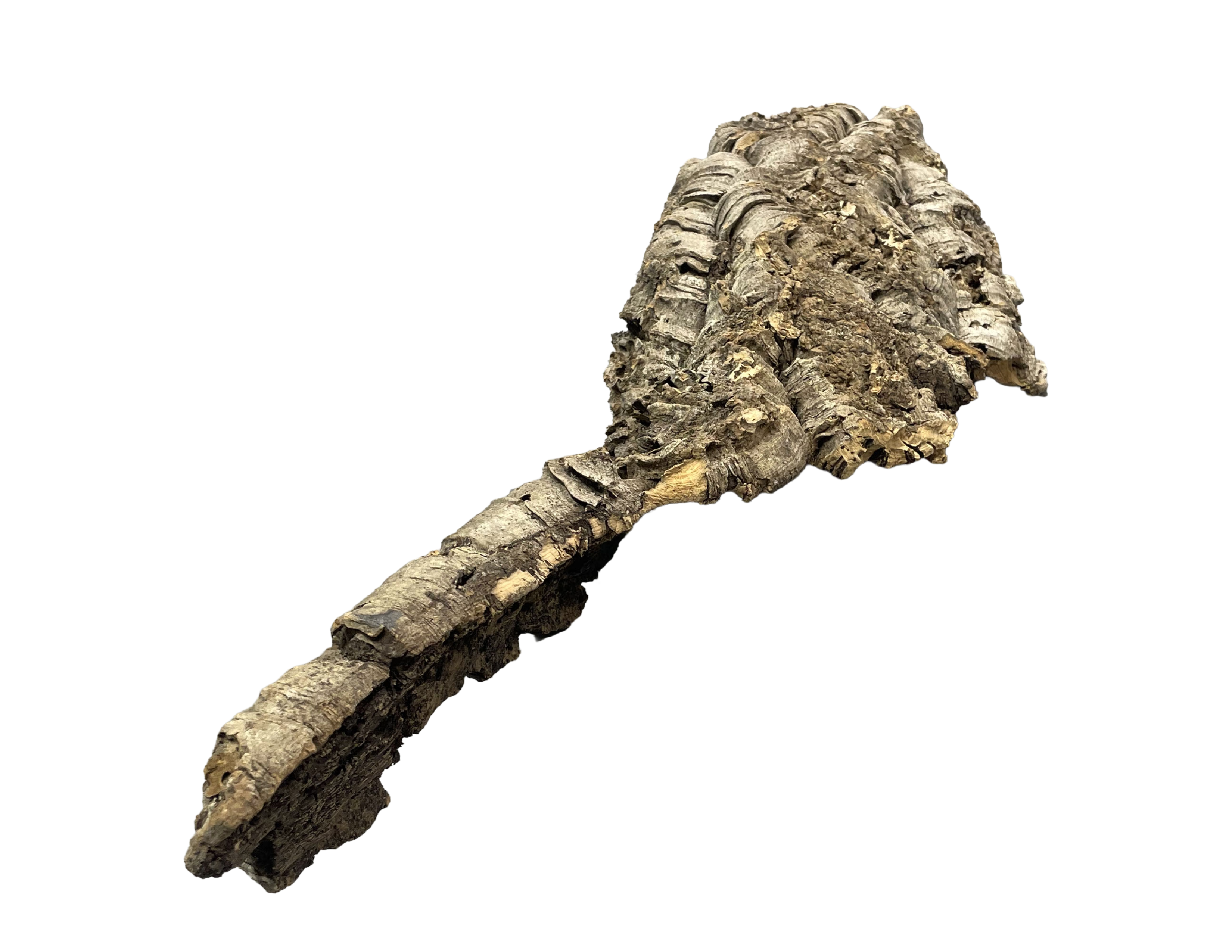 Premium Cork Bark