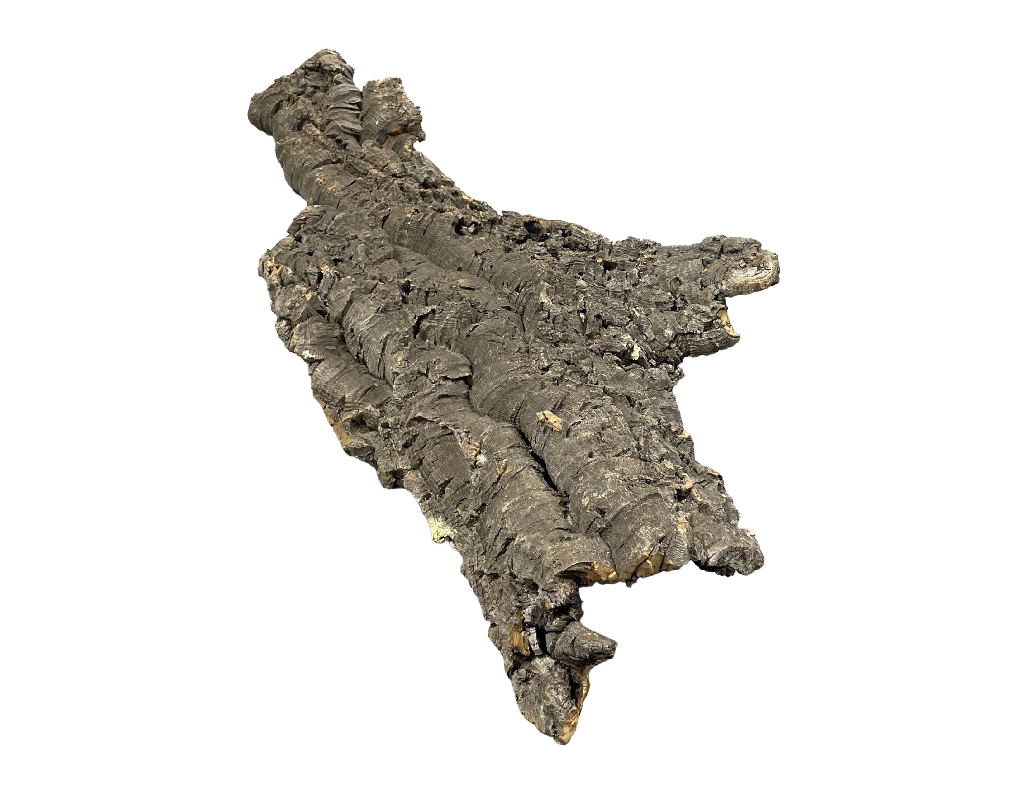 Premium Cork Bark