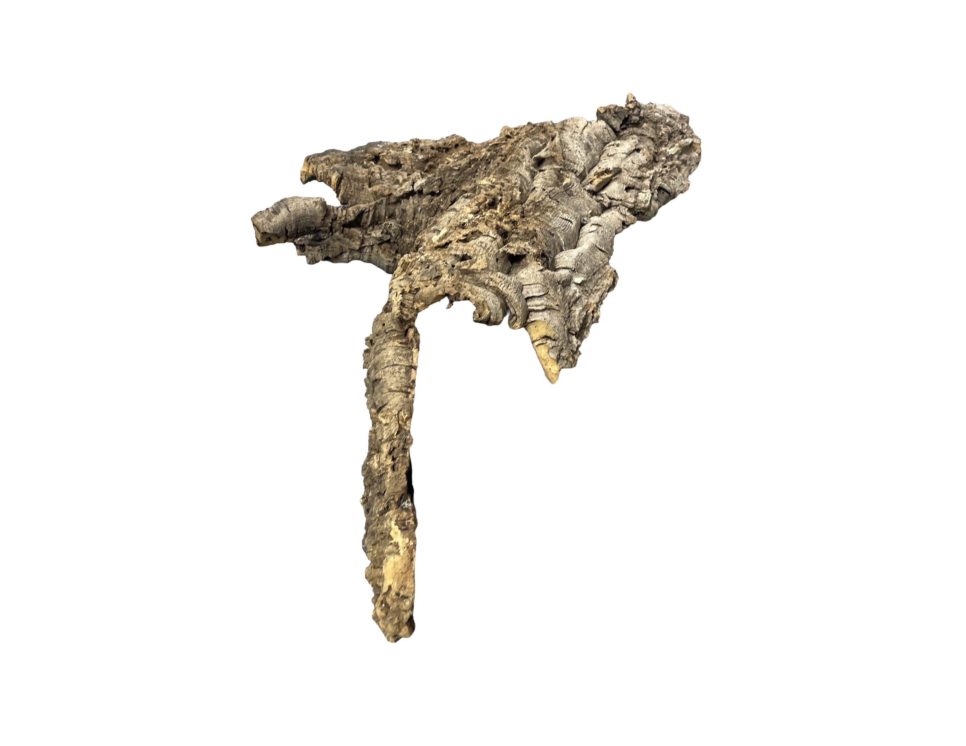 Premium Cork Bark