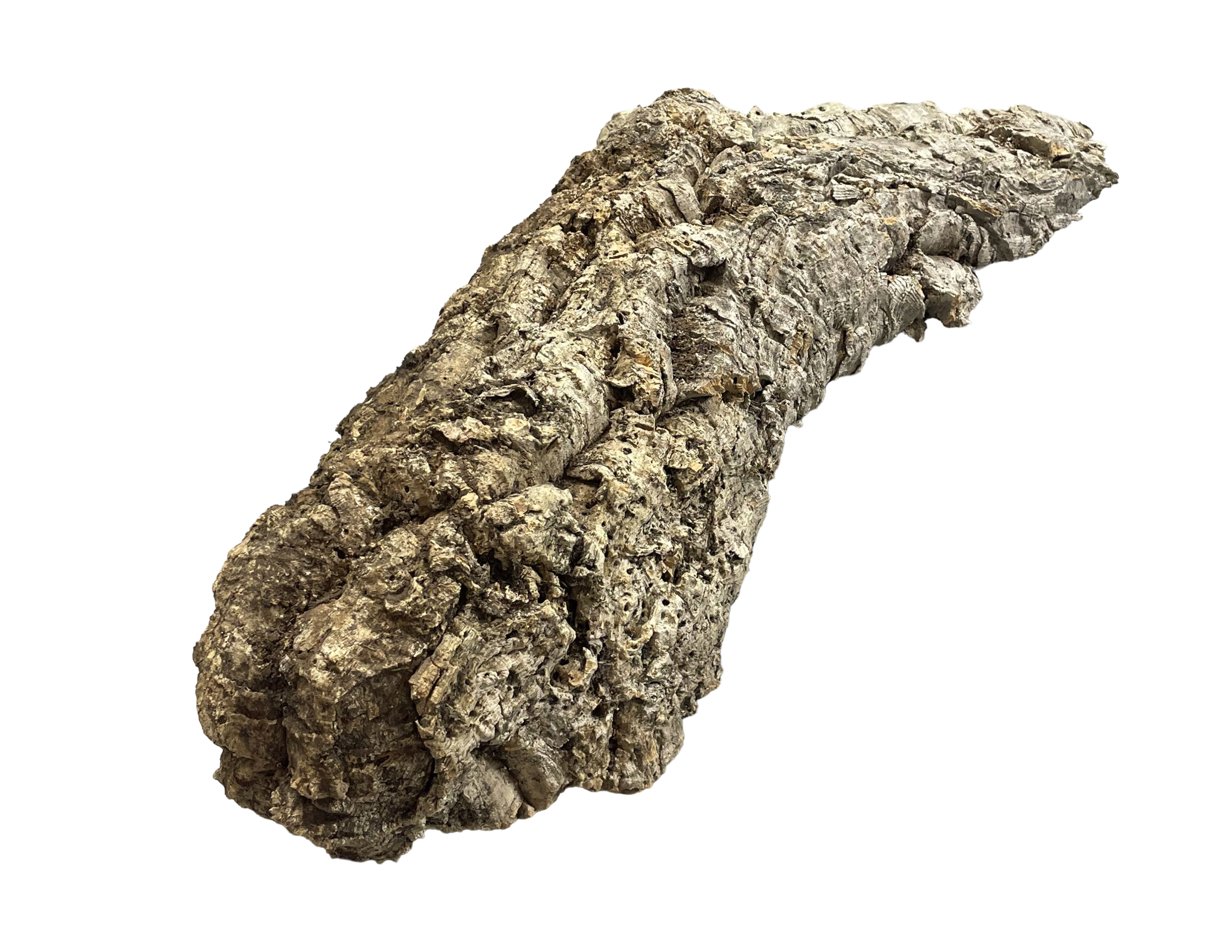 Premium Cork Bark