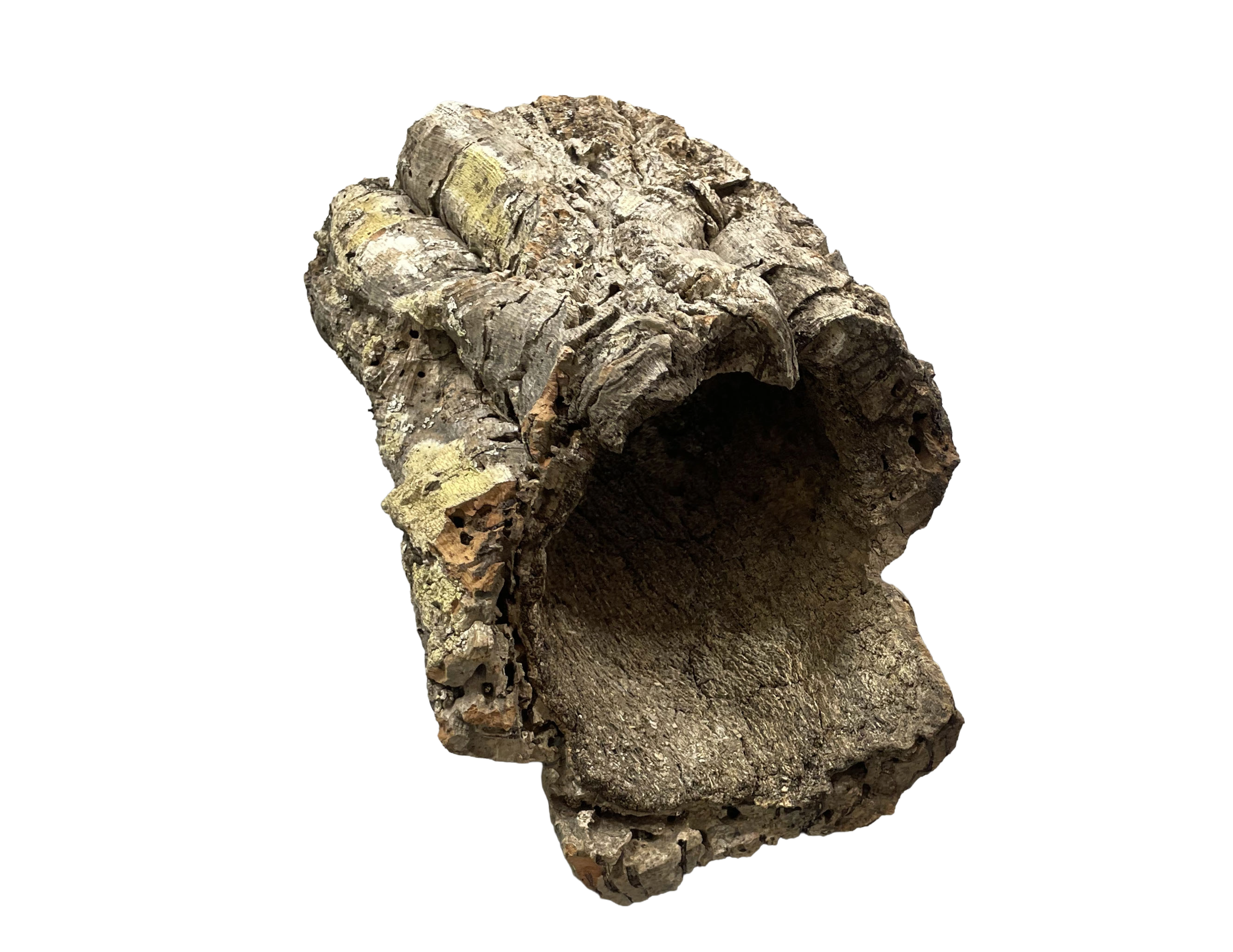 Premium Cork Bark