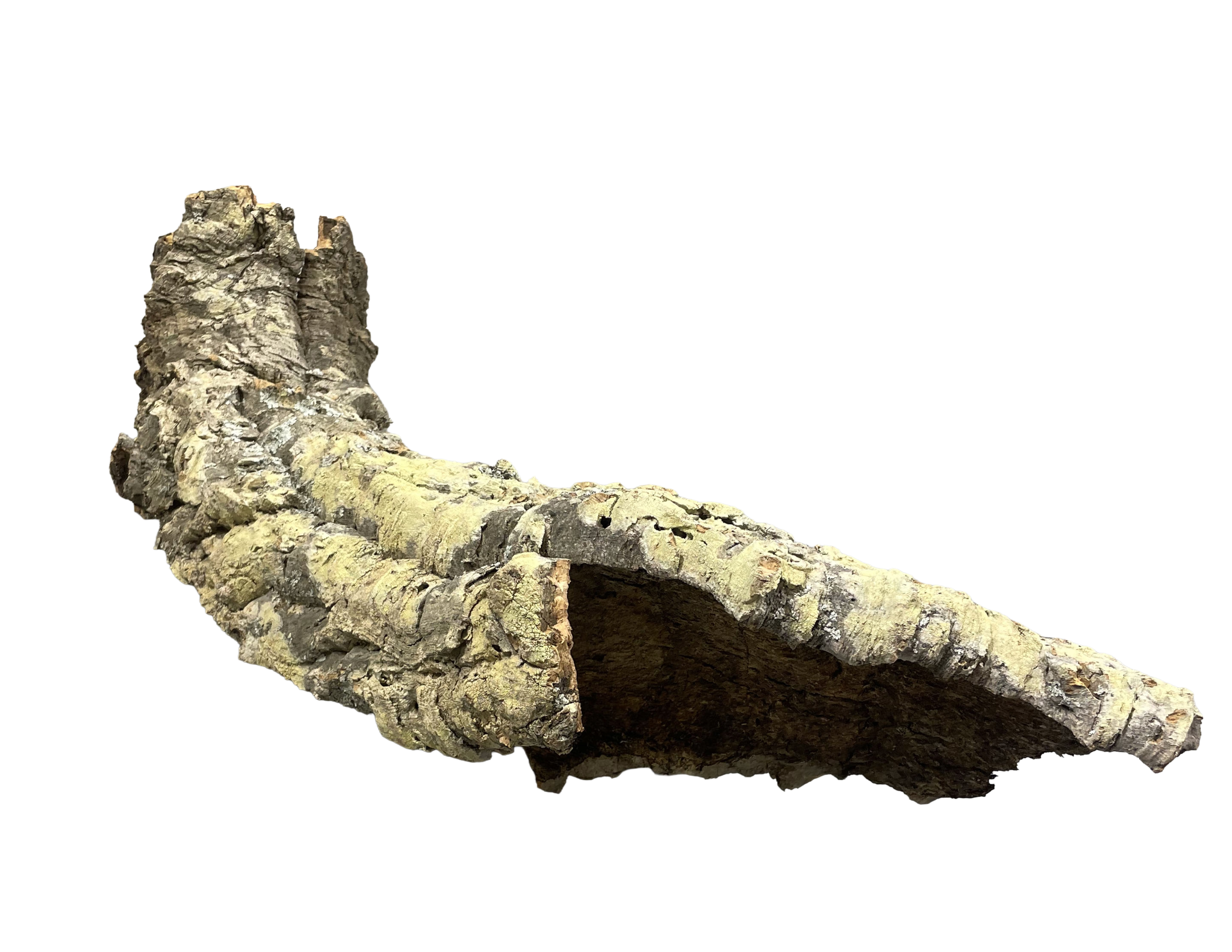 Premium Cork Bark