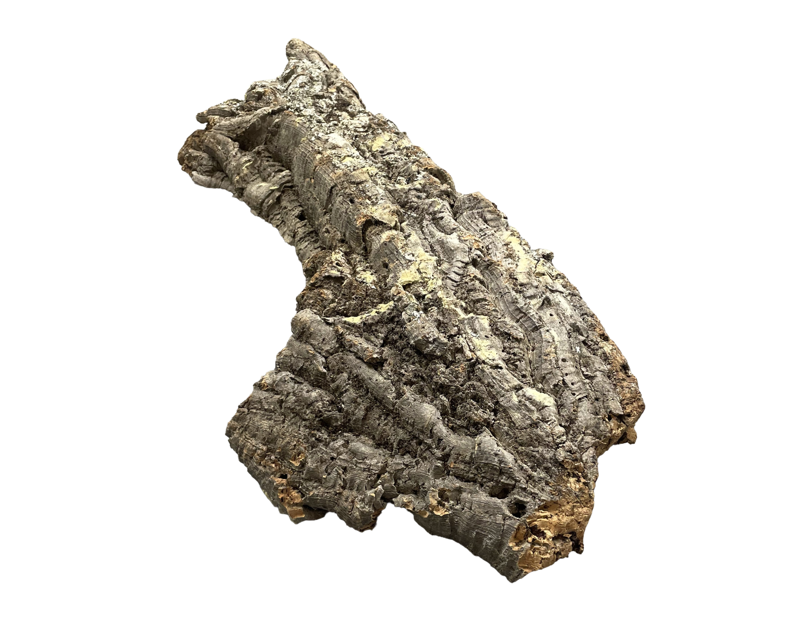 Premium Cork Bark
