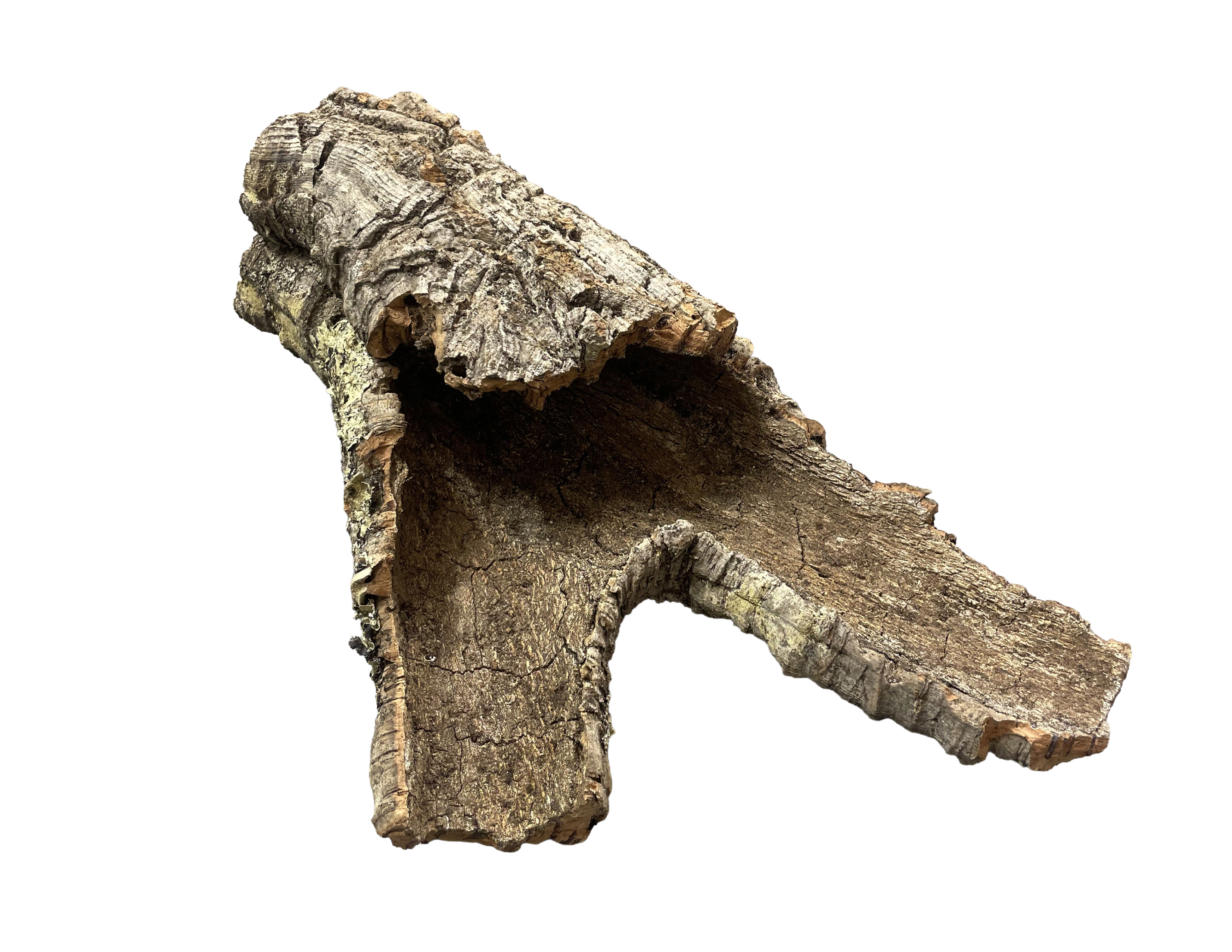 Premium Cork Bark