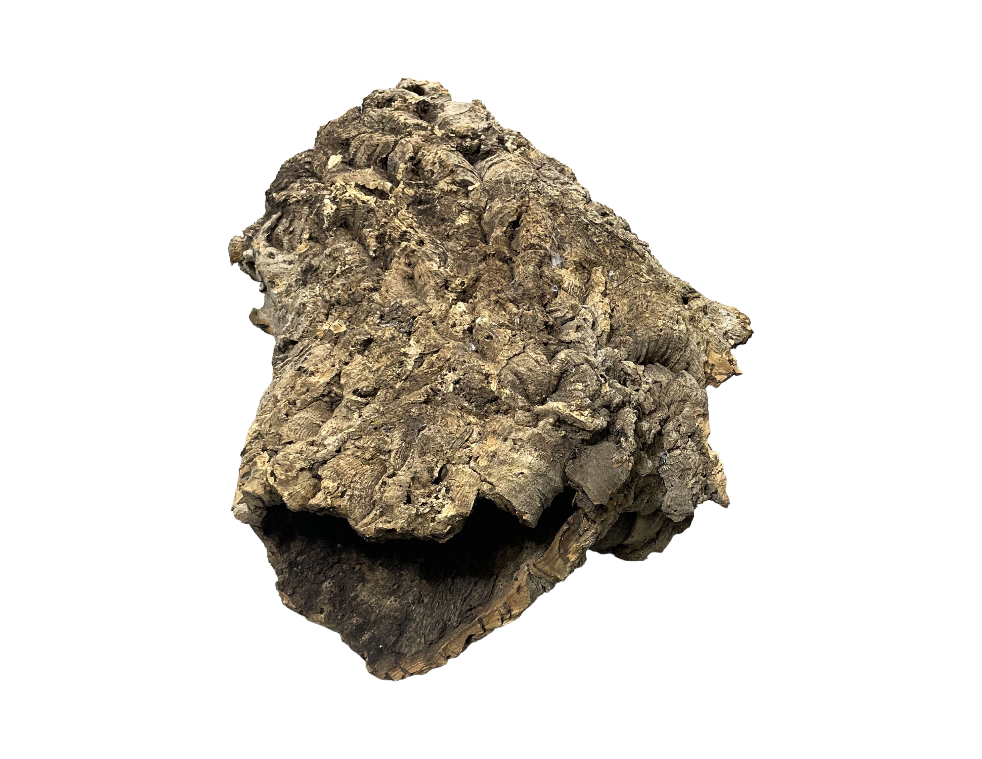 Premium Cork Bark