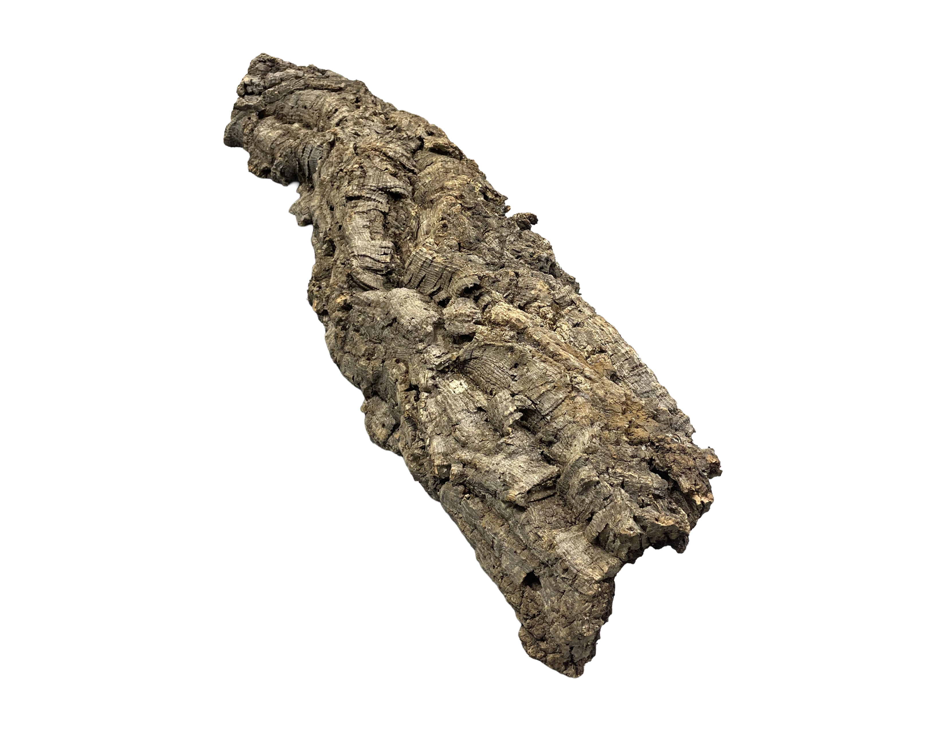 Premium Cork Bark
