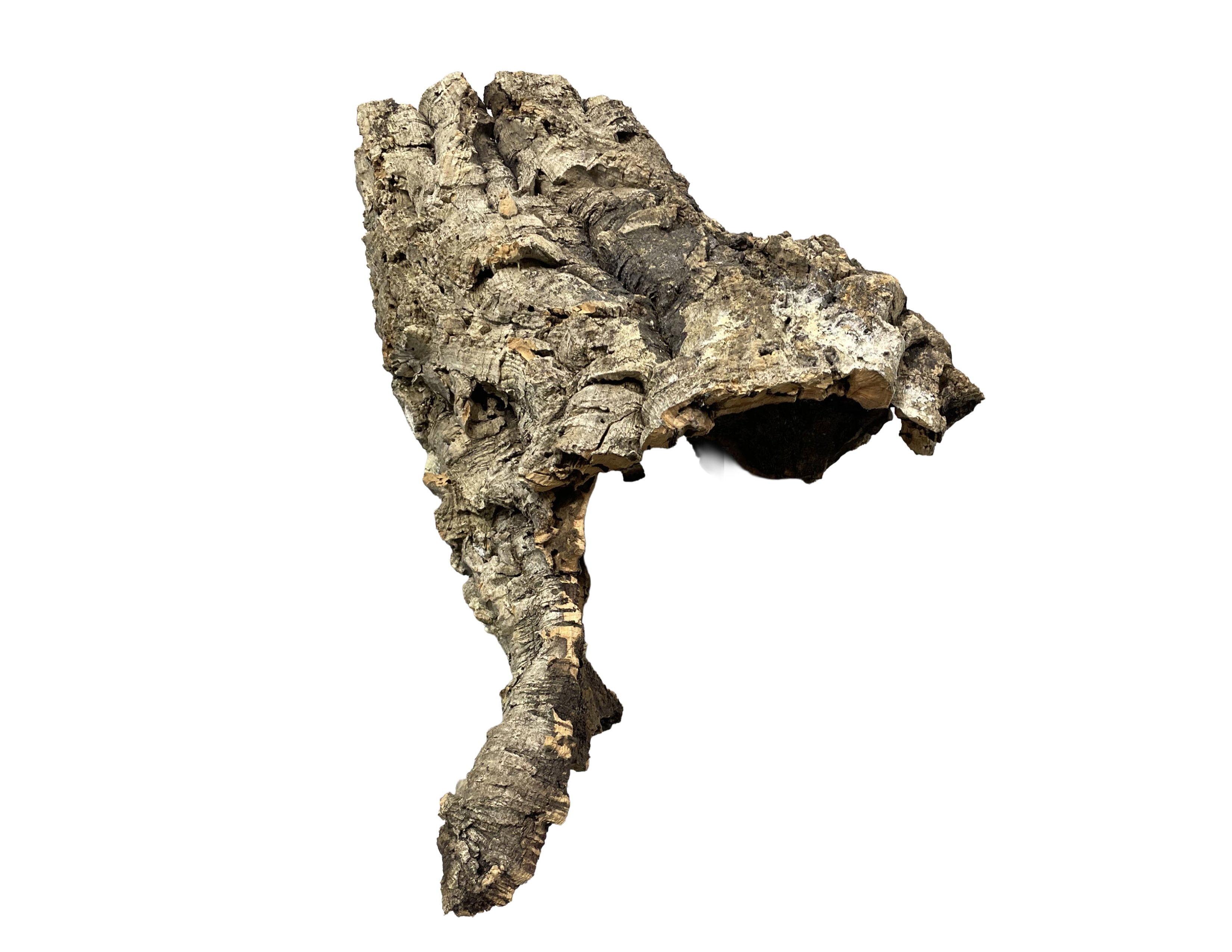 Premium Cork Bark