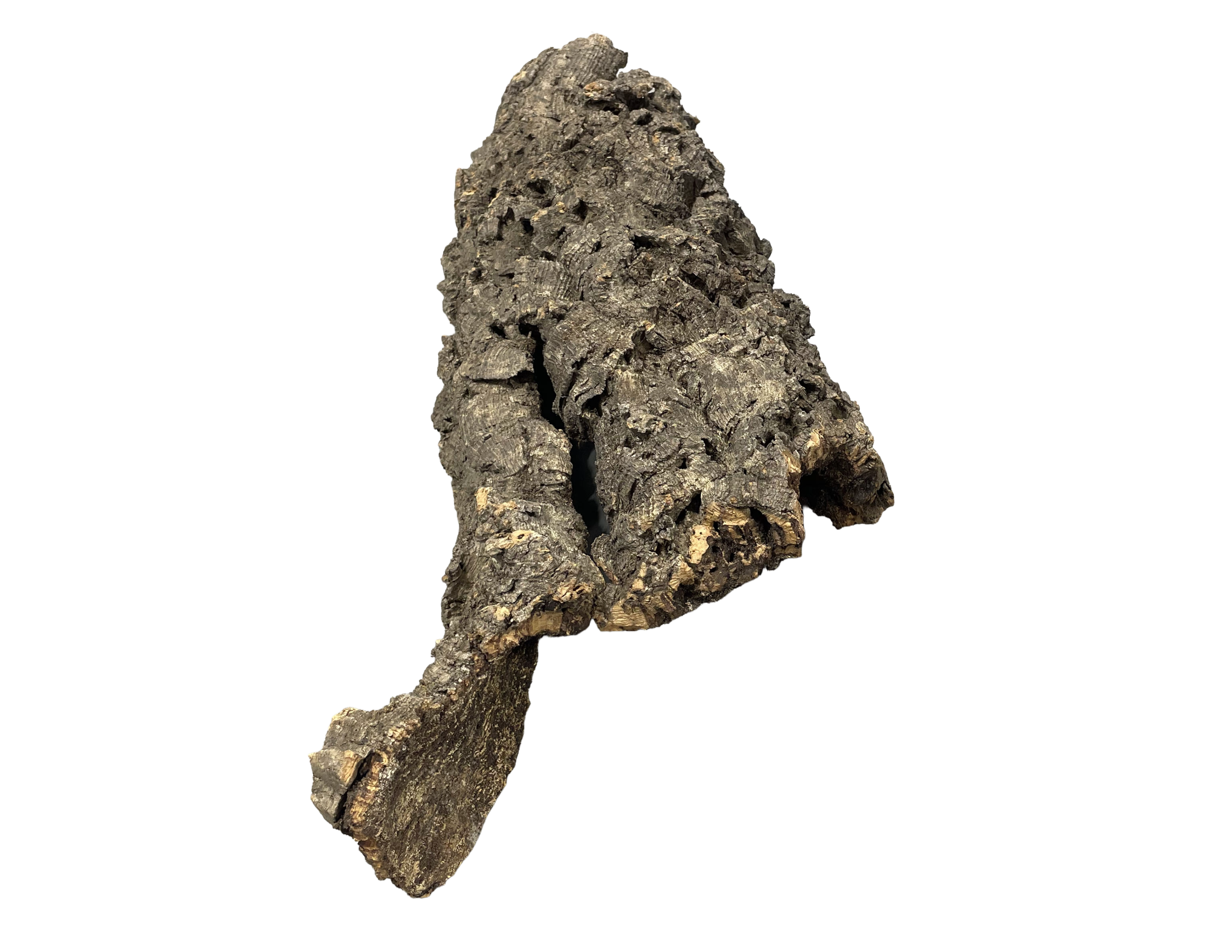 Premium Cork Bark