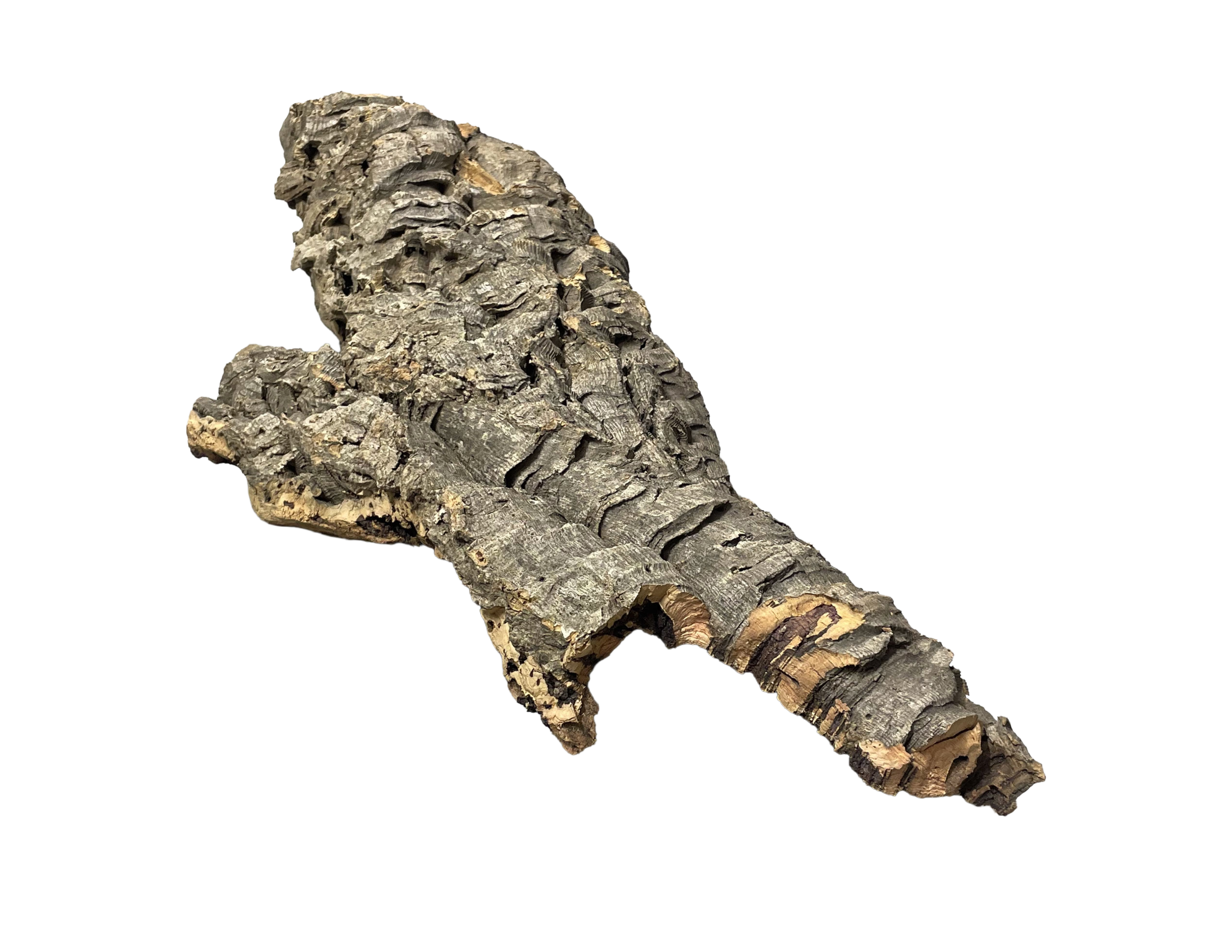 Premium Cork Bark
