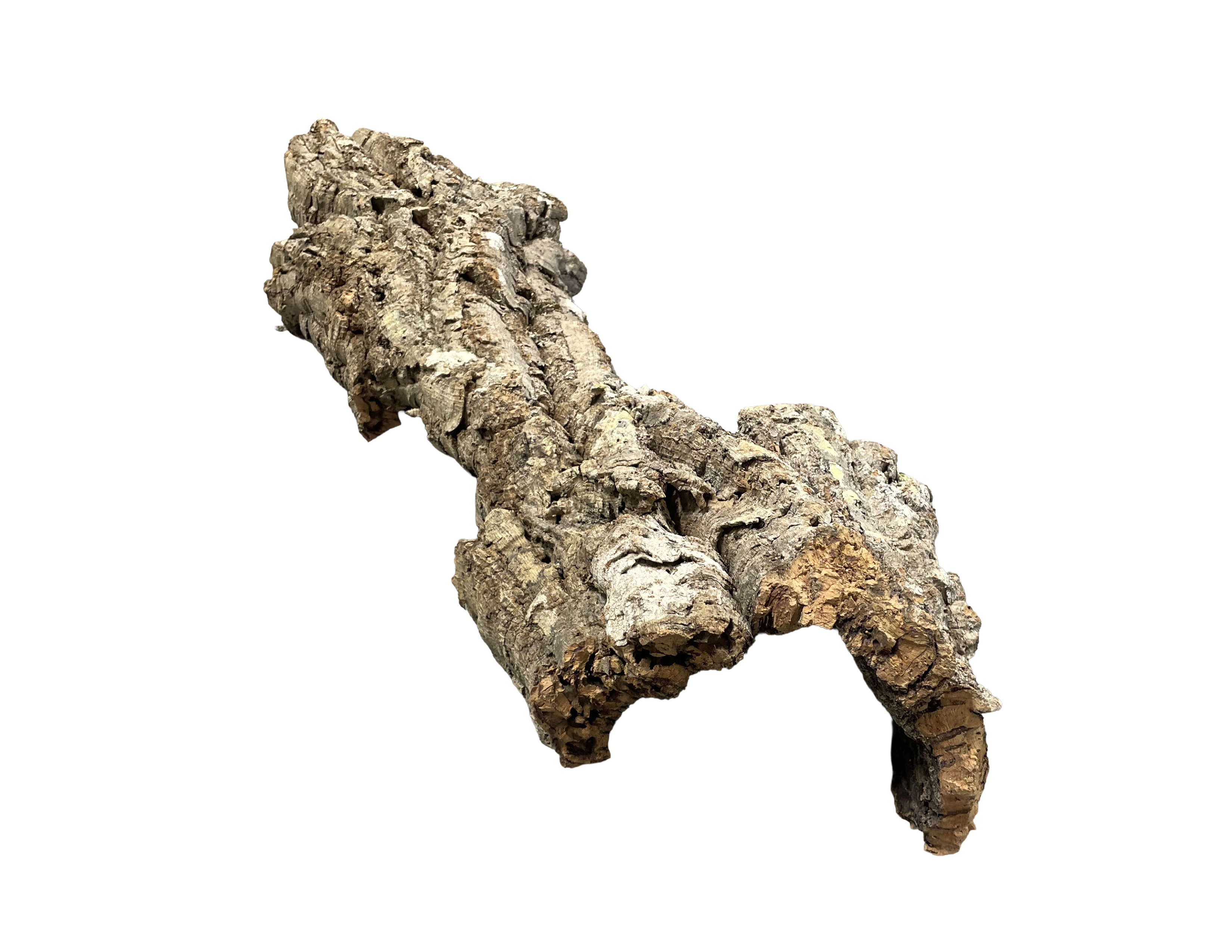 Premium Cork Bark
