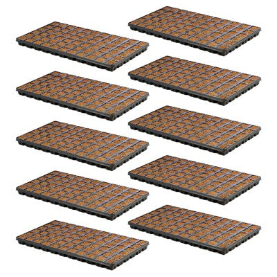 Eazy Plug CT66 Starter Cubes & Tray
