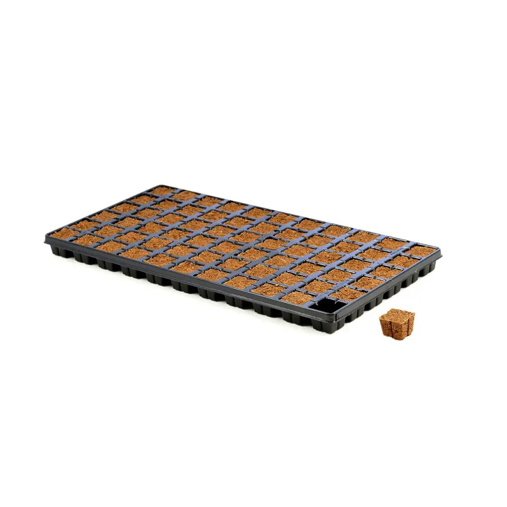 Eazy Plug CT66 Starter Cubes & Tray