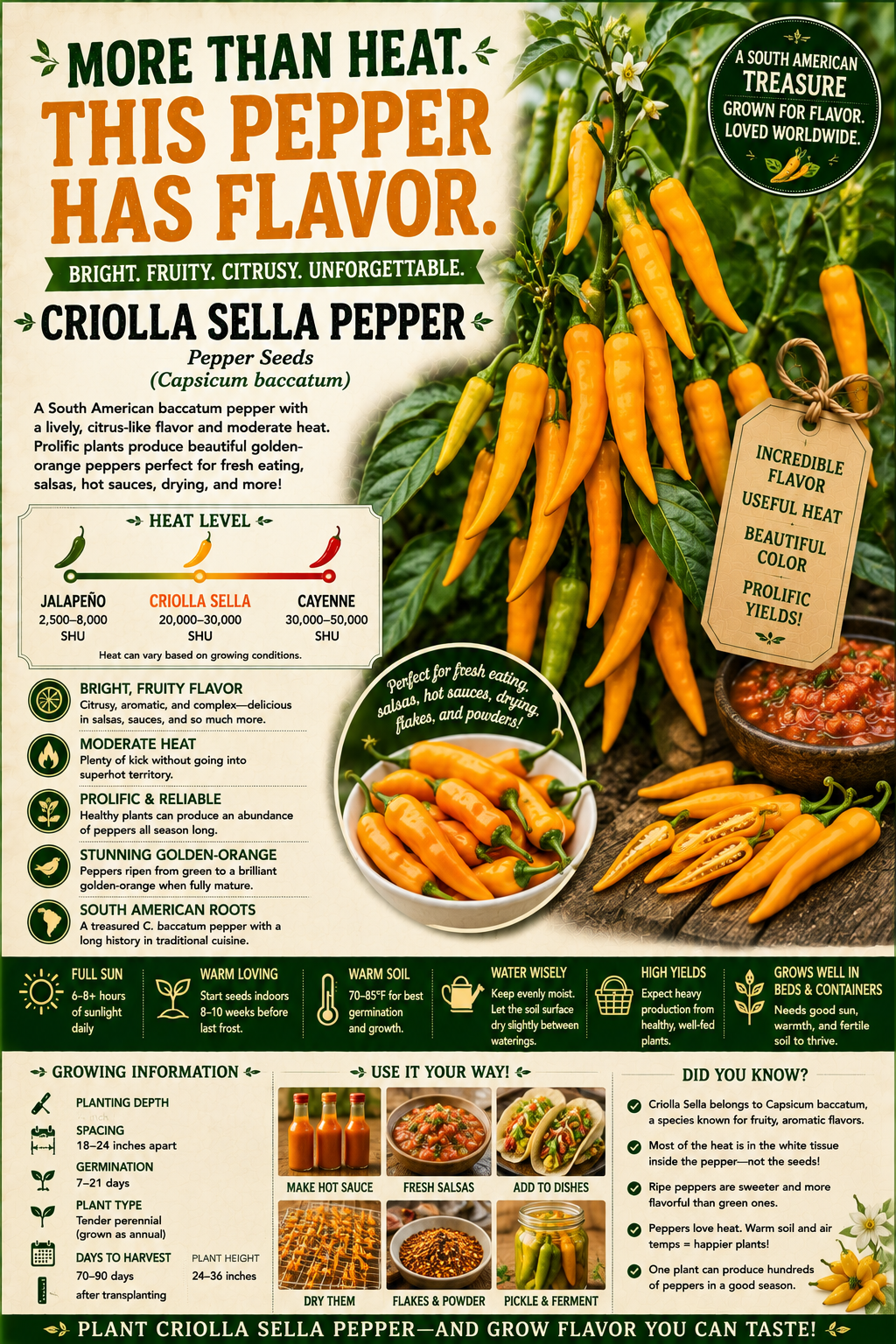 Criolla Sella Pepper