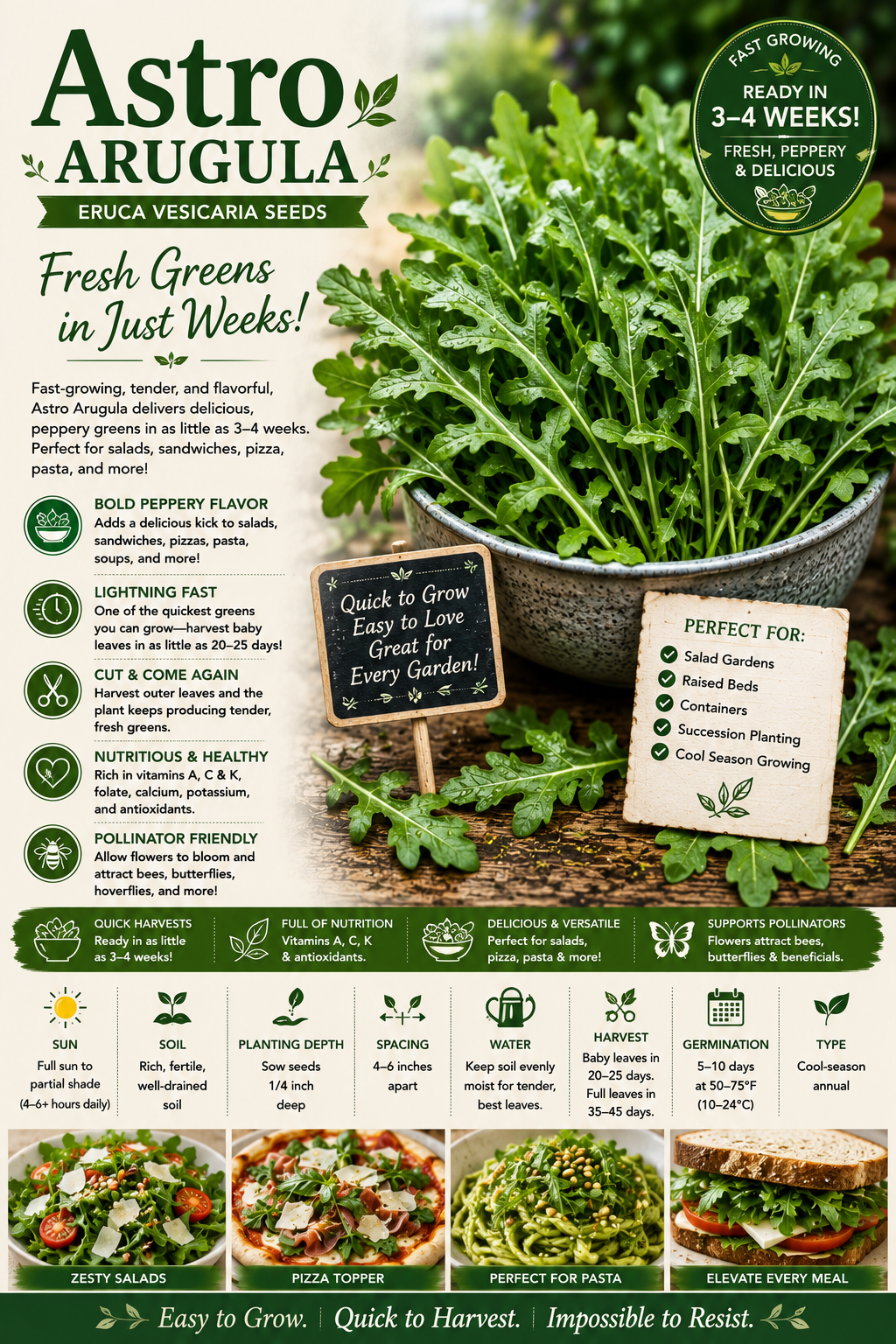 Astro Arugula