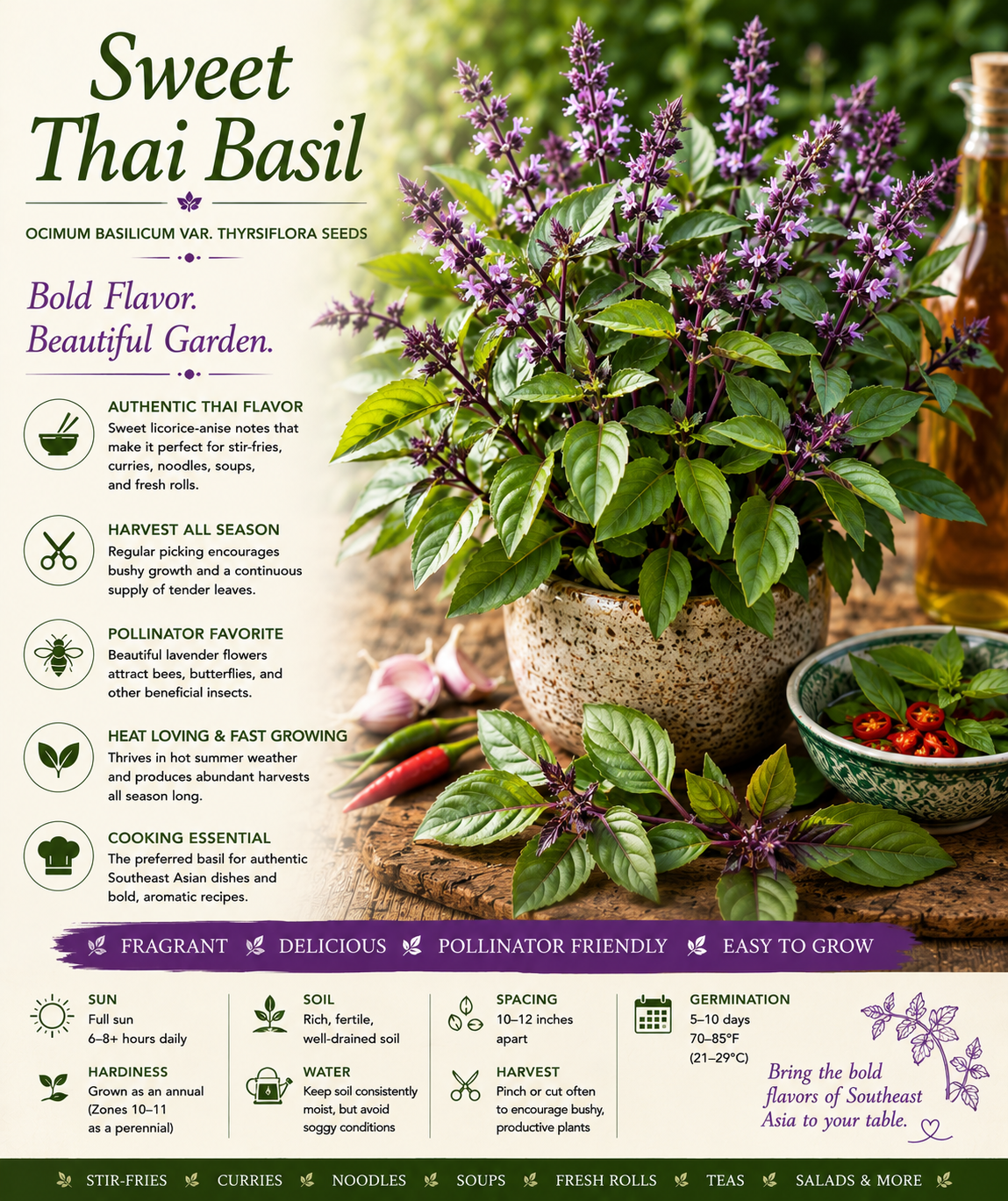 Sweet Thai Basil