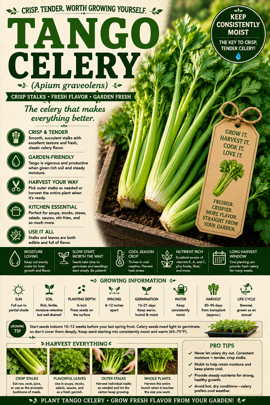 Tango Celery