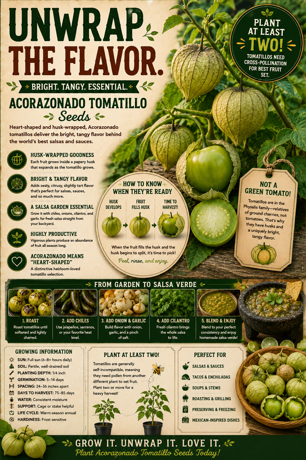 Acorazonado Tomatillo
