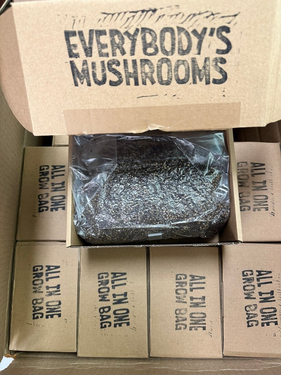 - All-In-One Mushroom Grow Bag - Gardin Warehouse