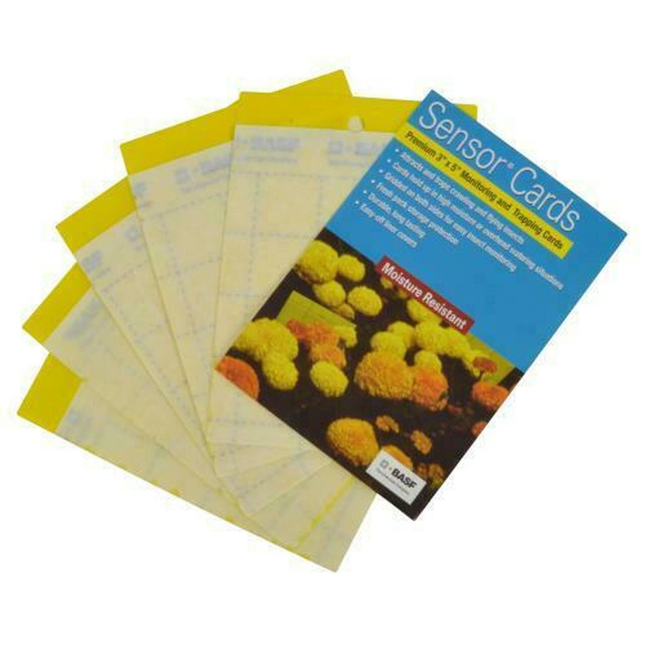 BASF - Yellow Pest Monitoring Cards - 3" x 5"