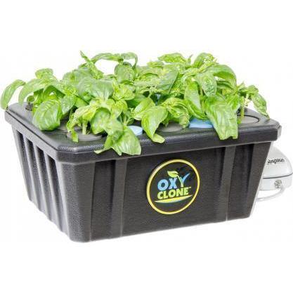 oxyCLONE PRO Series 20 Site Cloning System